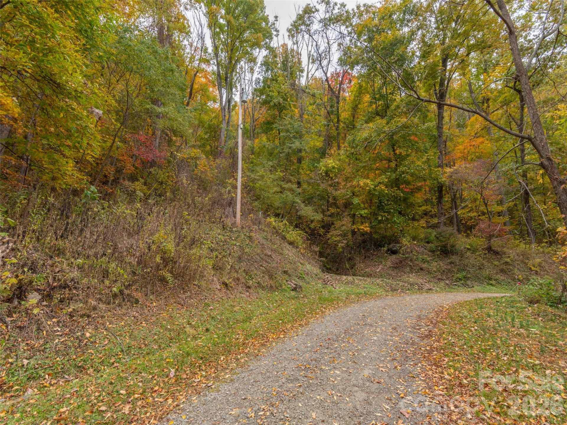 000 Sleepy Hollow Lane #13 & 14 - Photo 3