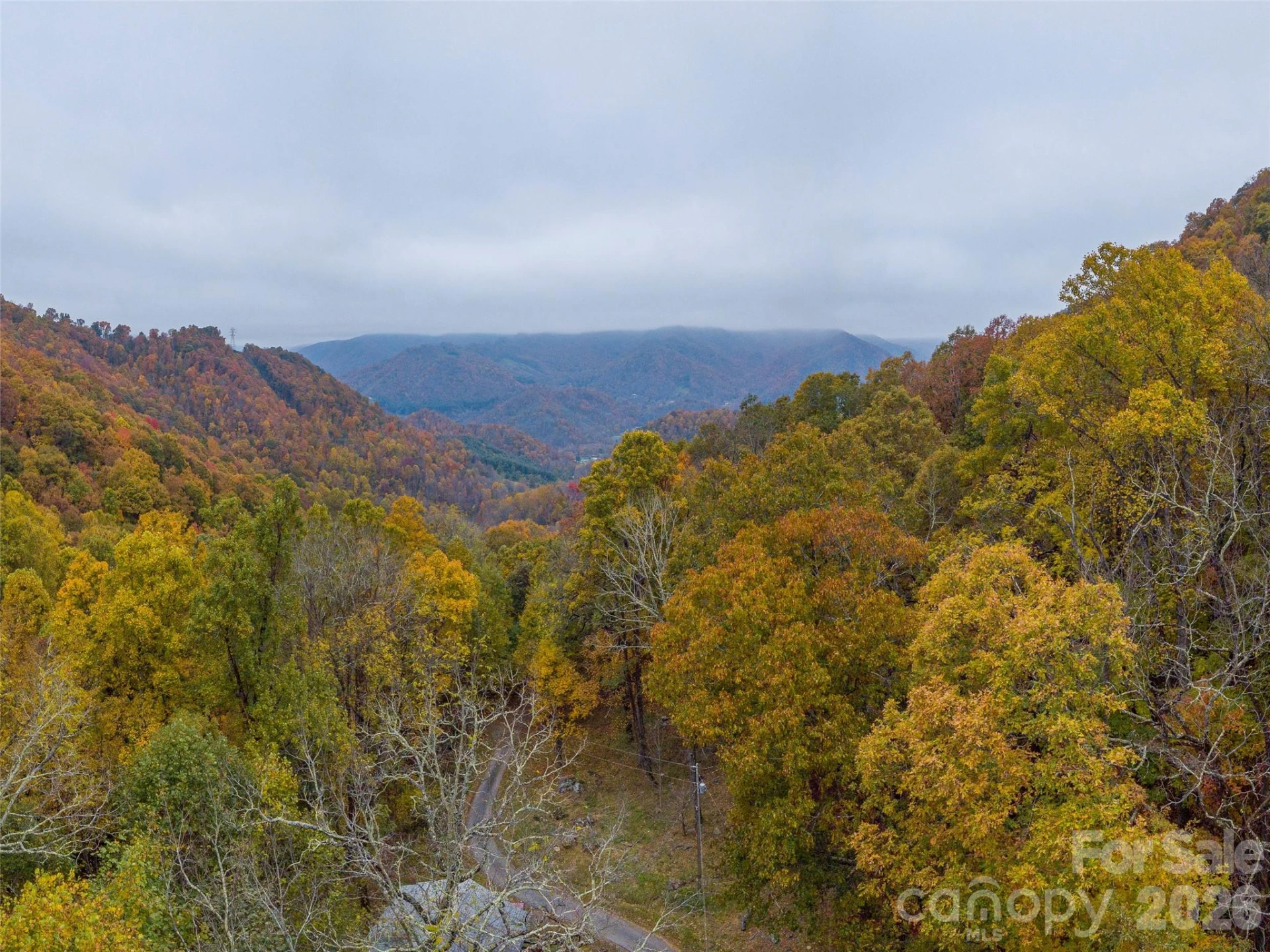 000 Sleepy Hollow Lane #13 & 14 - Photo 4