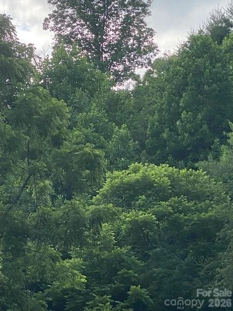 000 East Fork Road - Photo 2