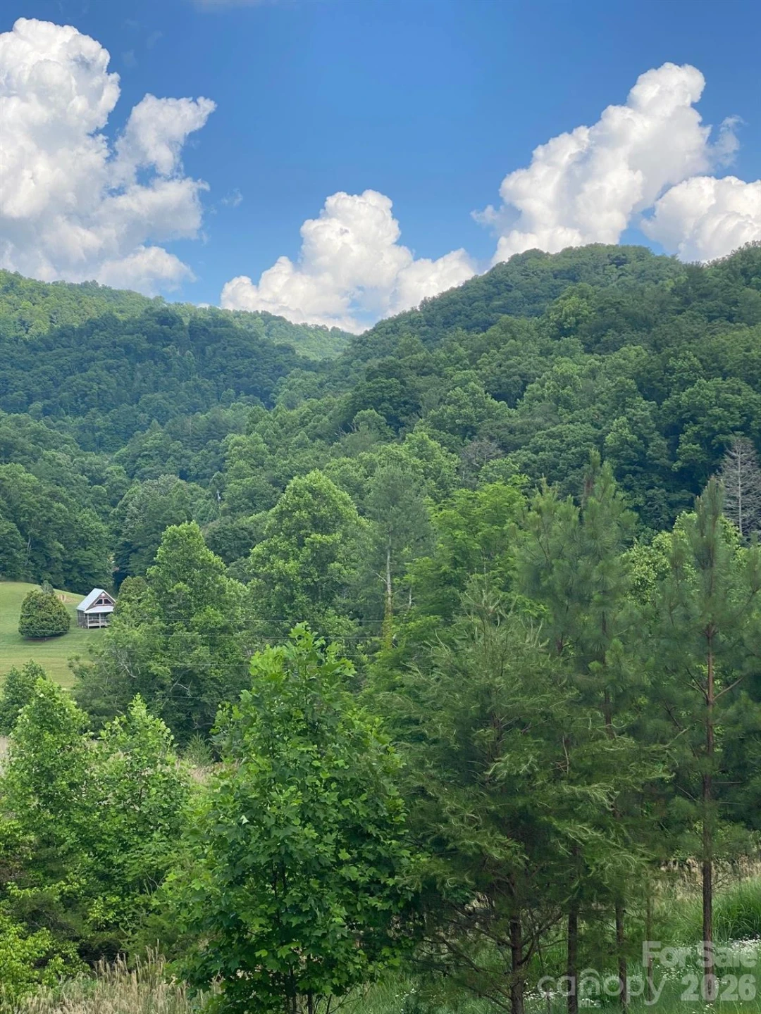 000 East Fork Road - Photo 11