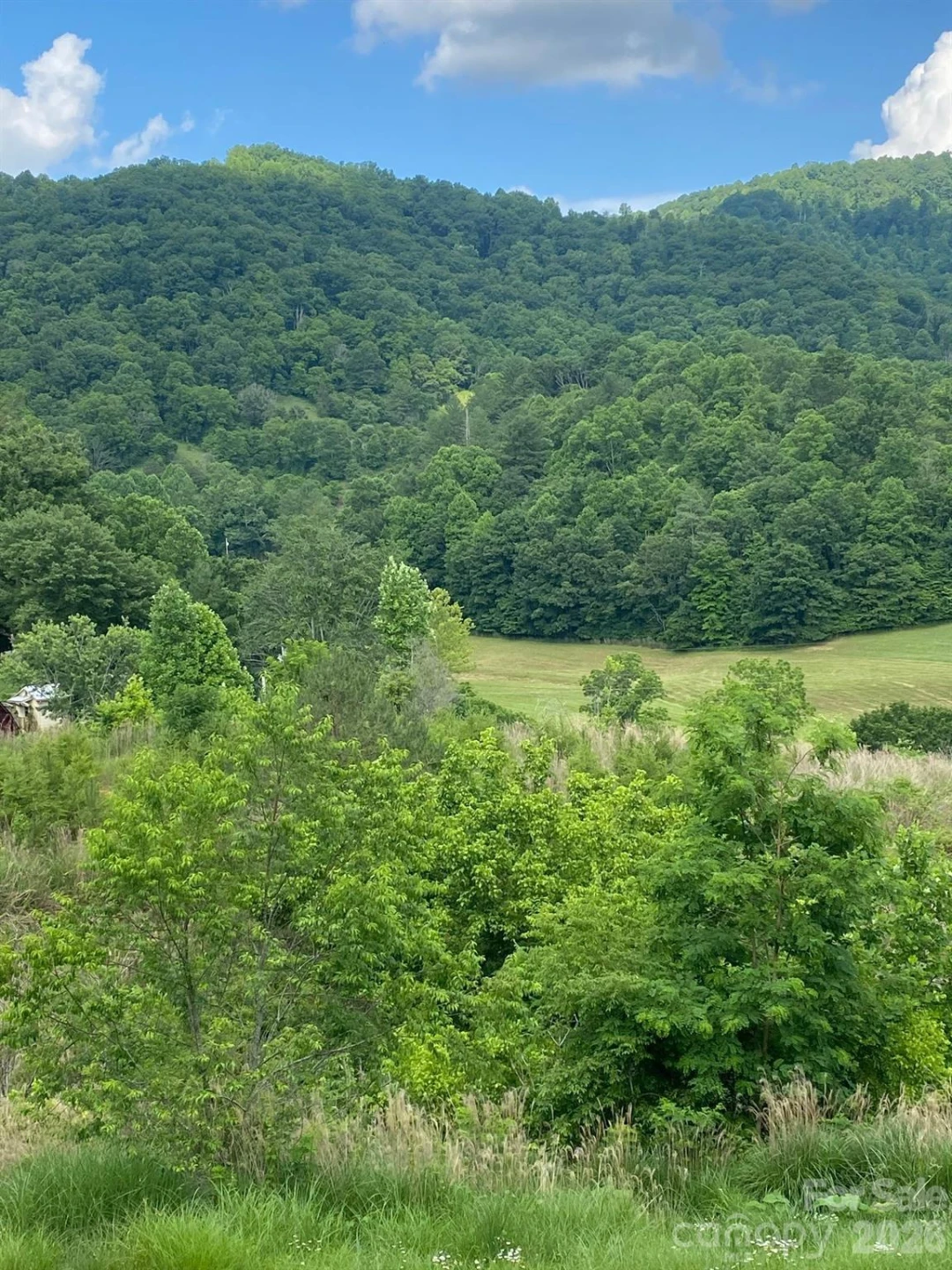 000 East Fork Road - Photo 12