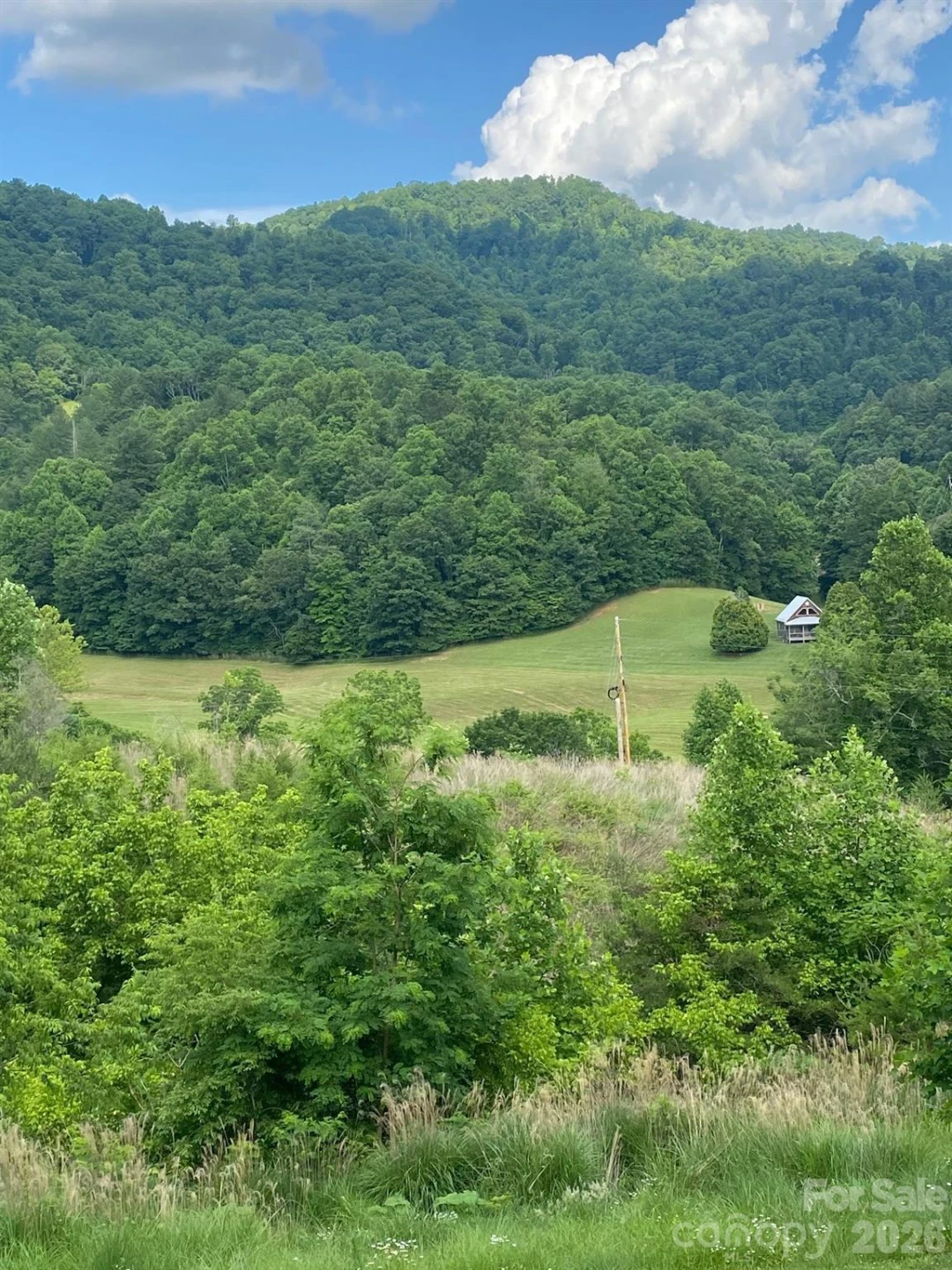 000 East Fork Road - Photo 13