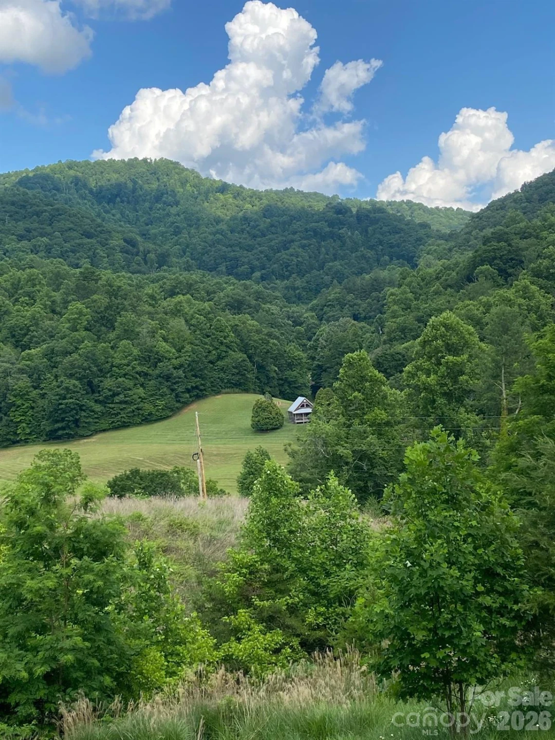 000 East Fork Road - Photo 14