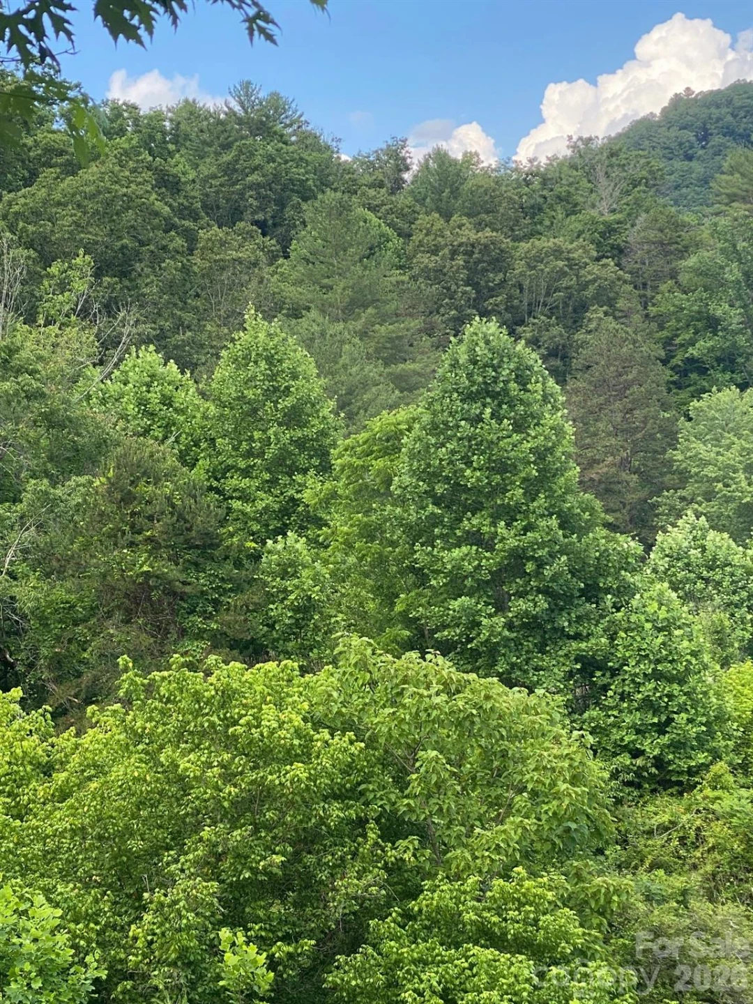 000 East Fork Road - Photo 15