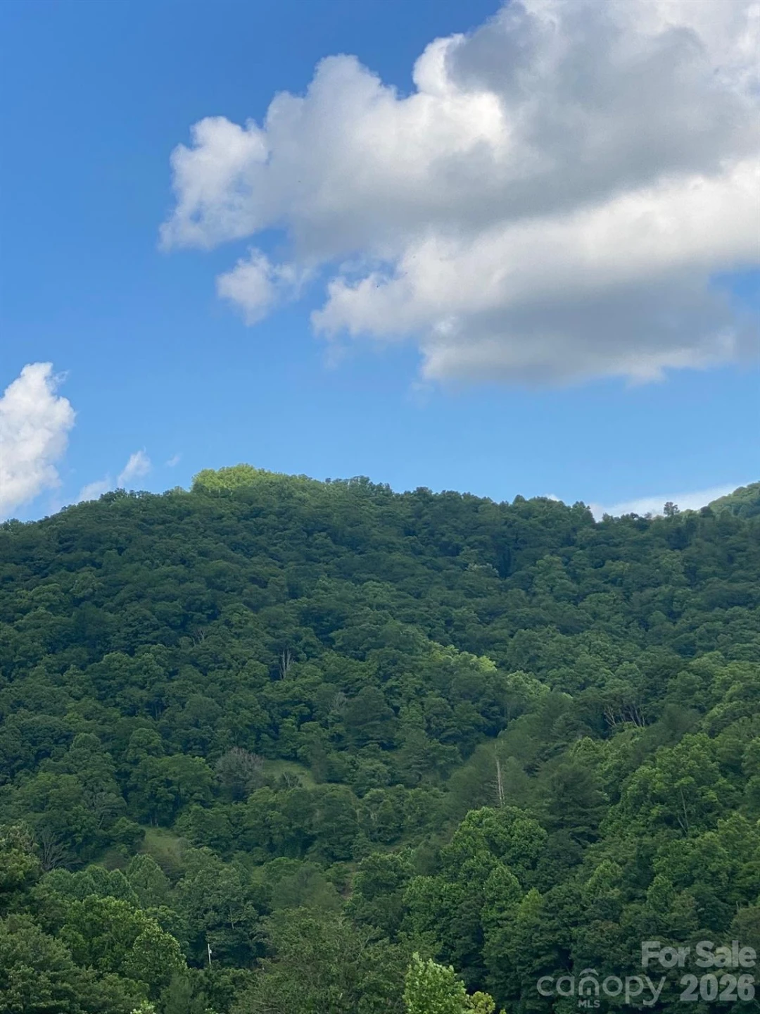 000 East Fork Road - Photo 16
