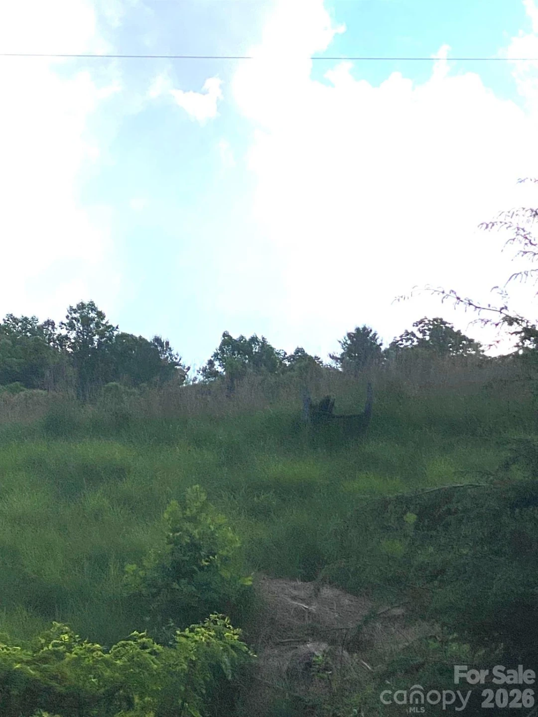 000 East Fork Road - Photo 17