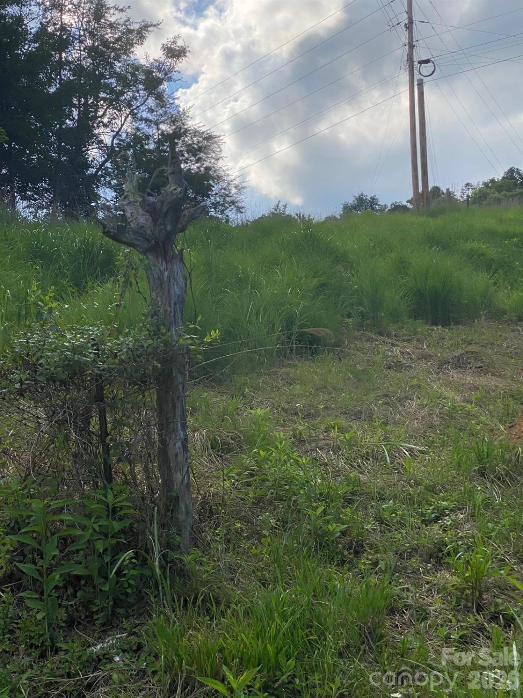 000 East Fork Road - Photo 19