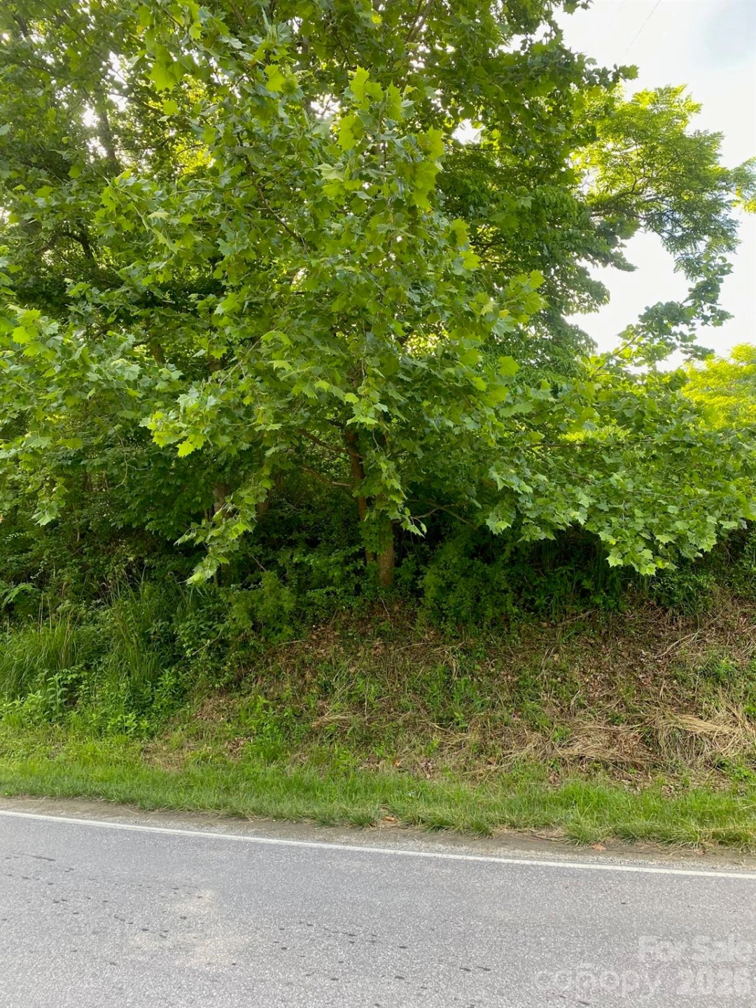 000 East Fork Road - Photo 20