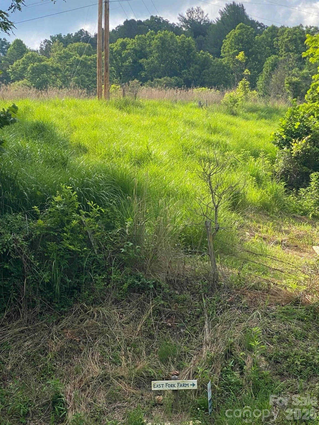 000 East Fork Road - Photo 21