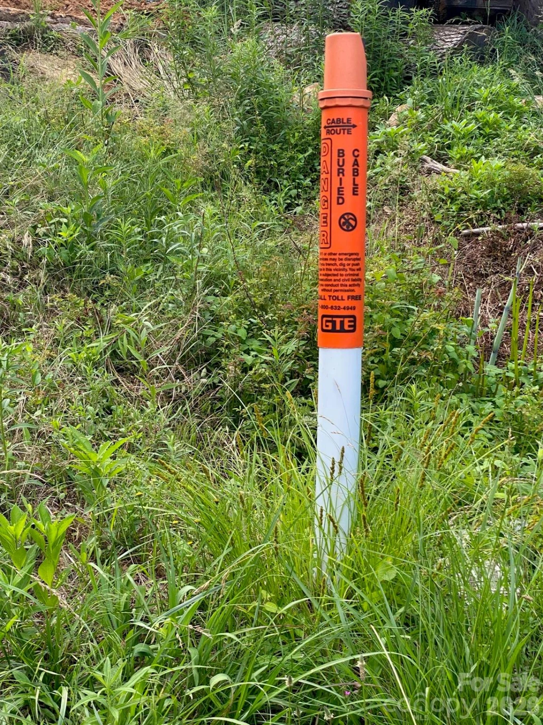 000 East Fork Road - Photo 5