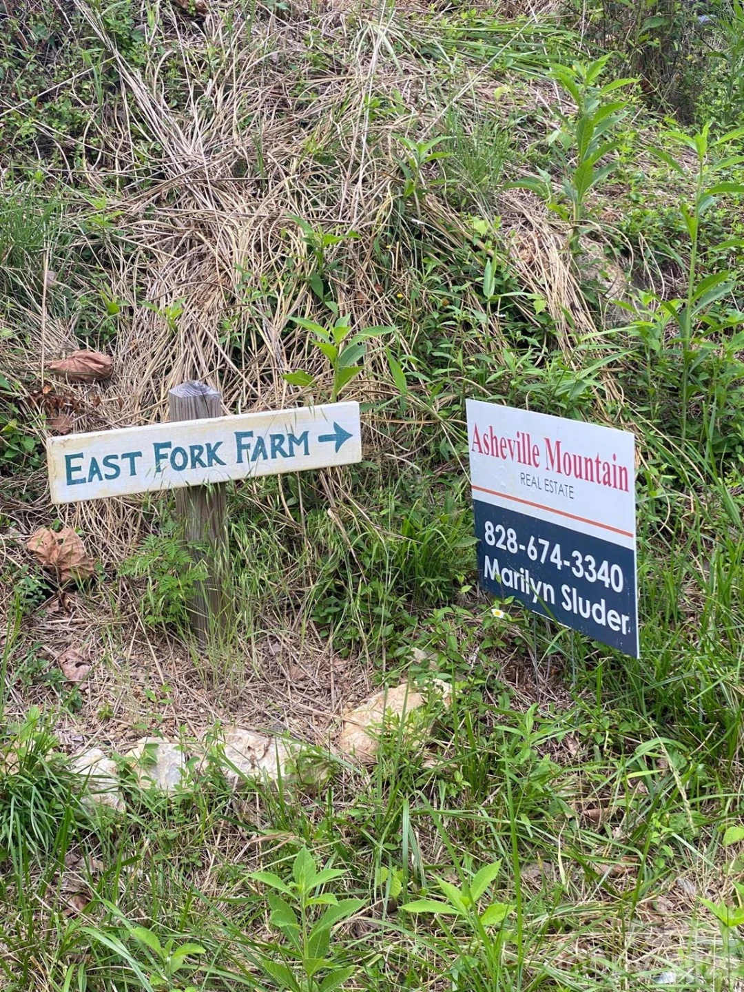 000 East Fork Road - Photo 6