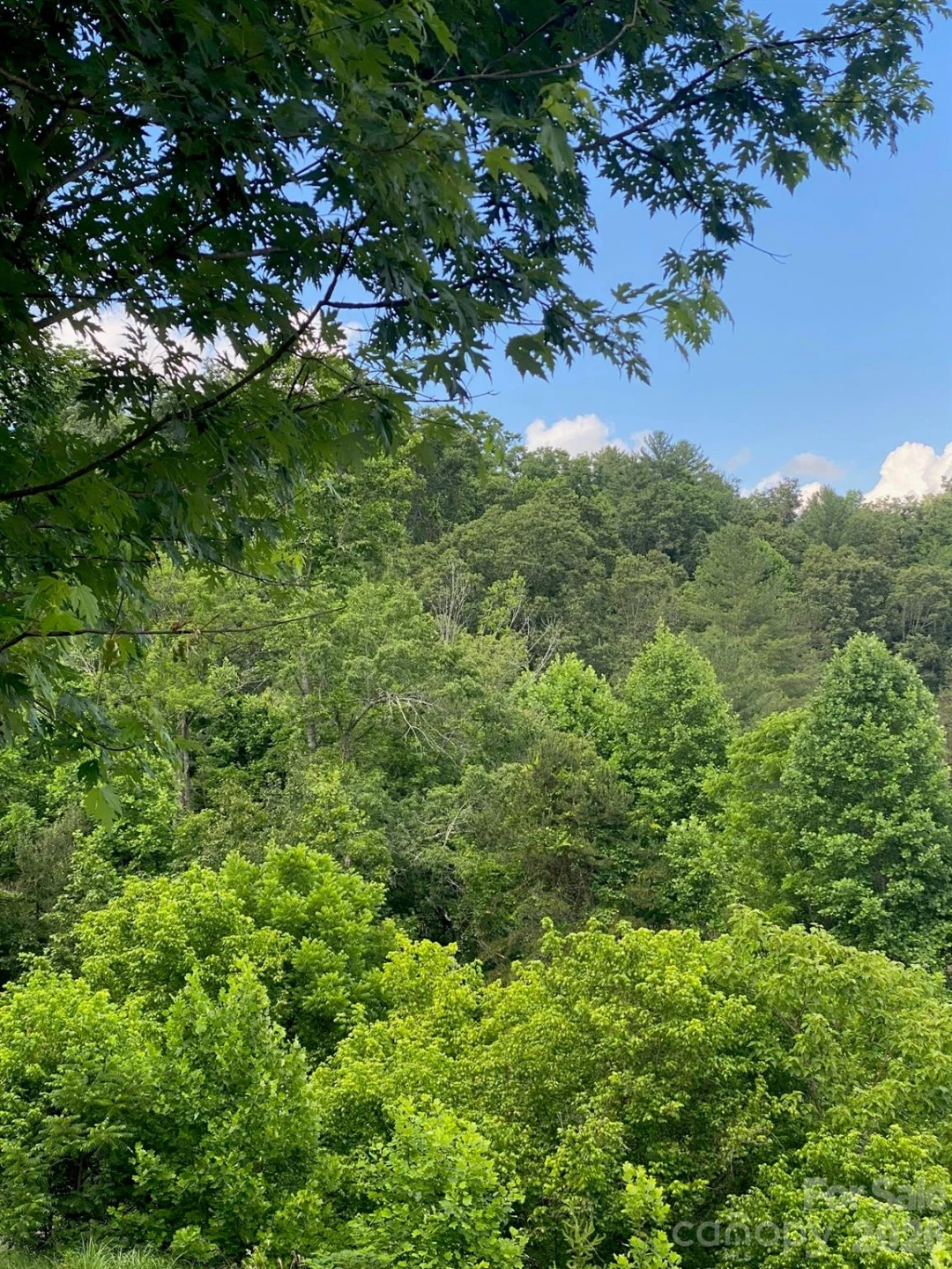 000 East Fork Road - Photo 7