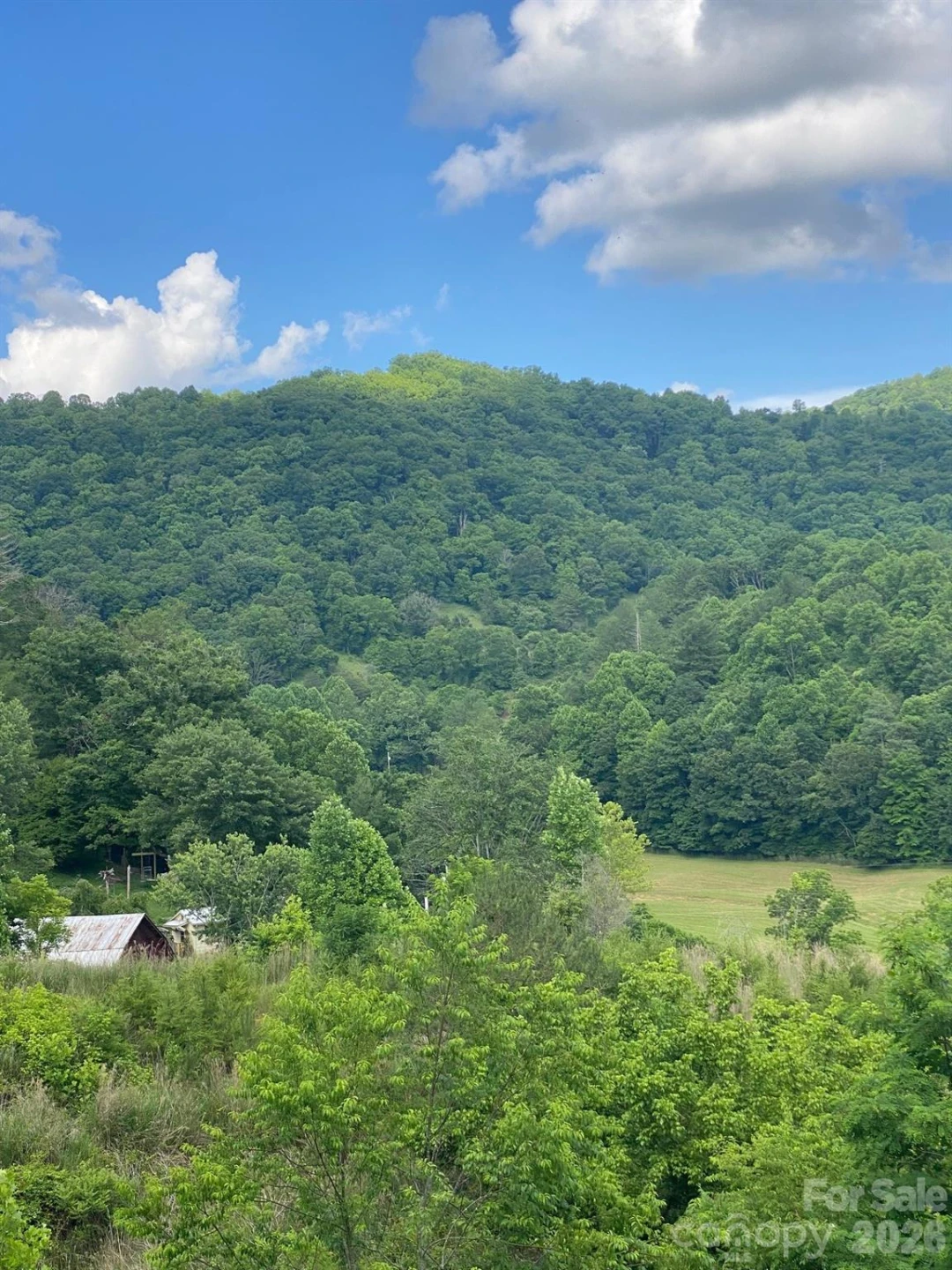 000 East Fork Road - Photo 8