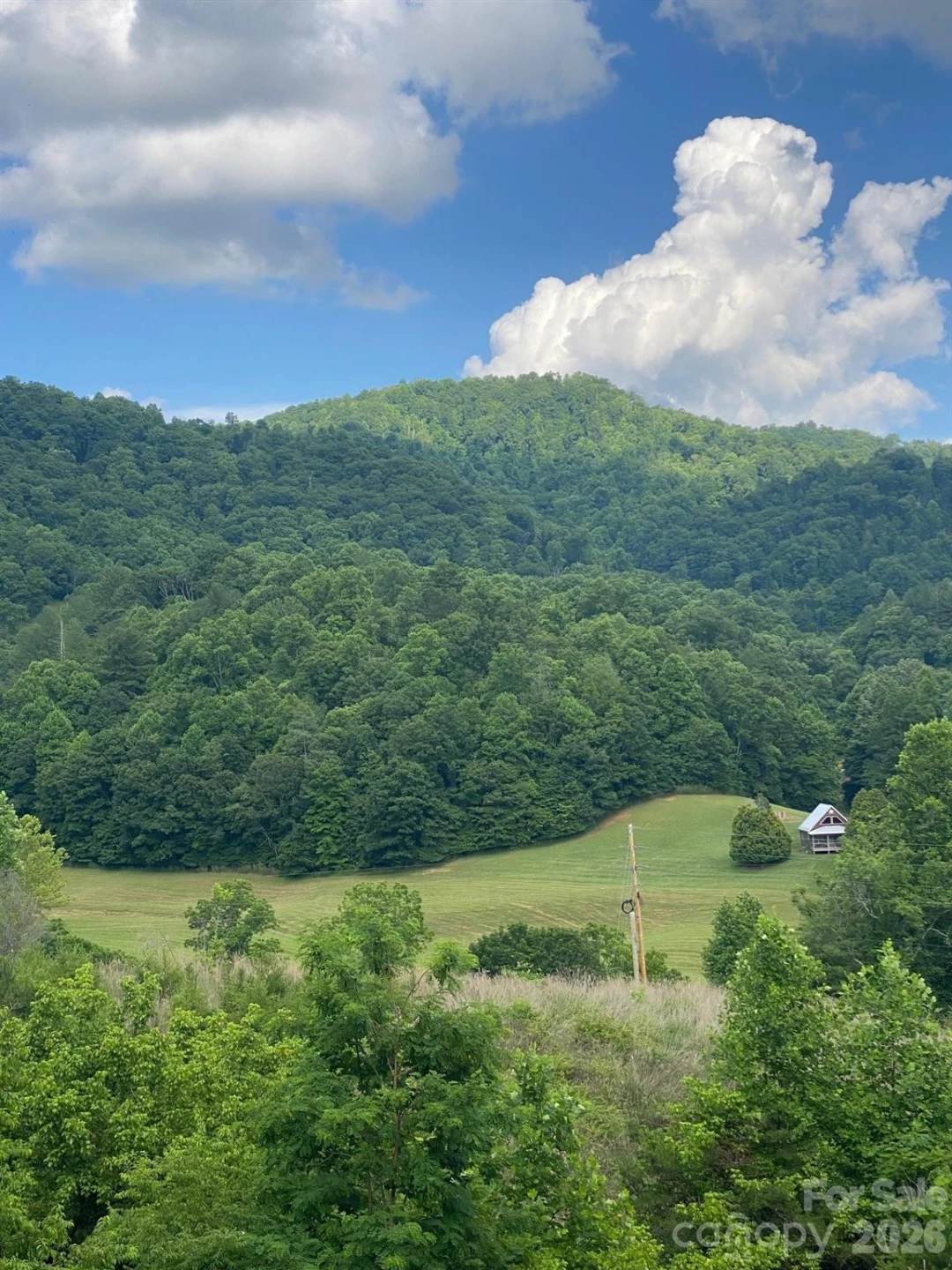 000 East Fork Road - Photo 9
