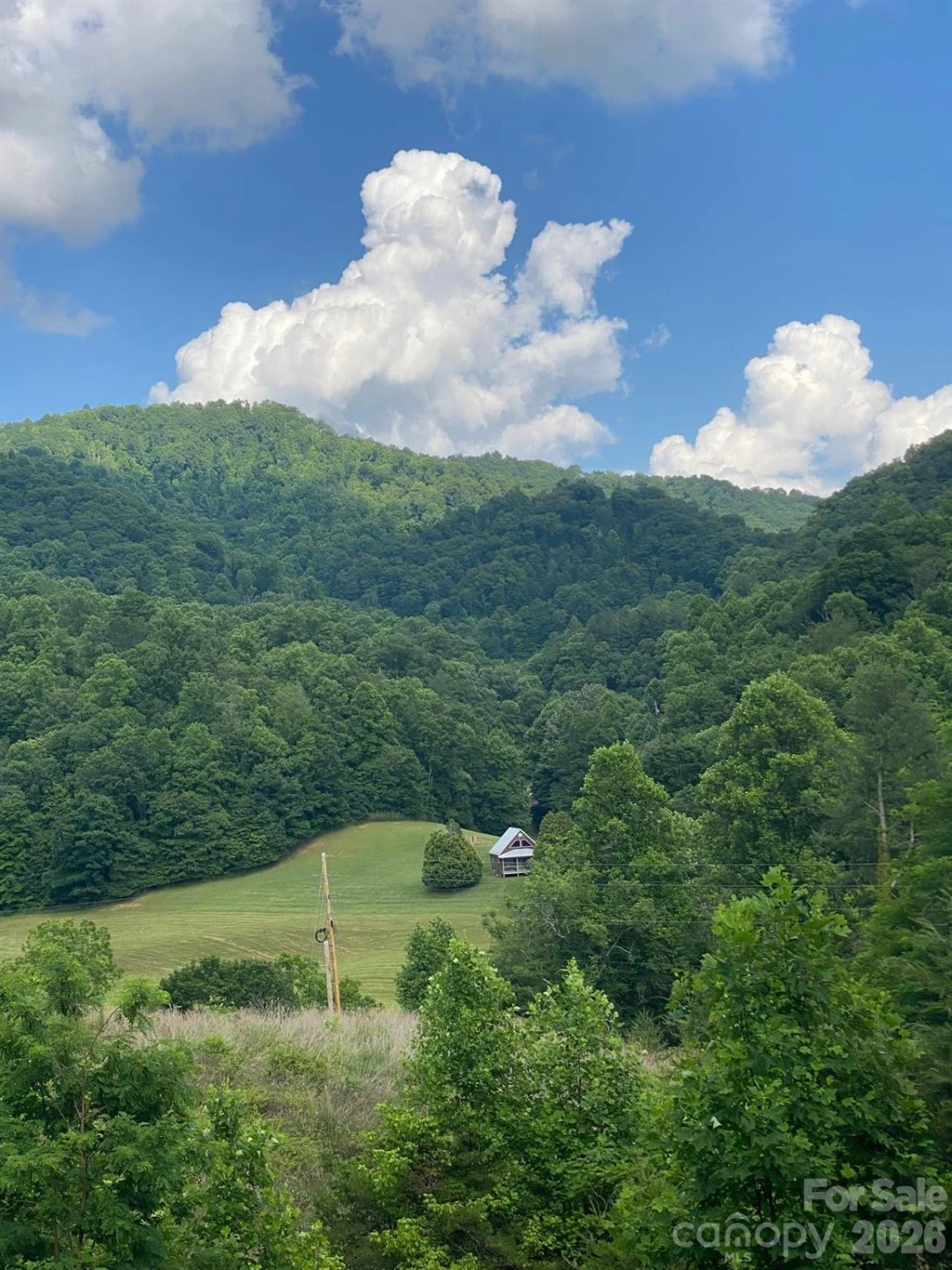 000 East Fork Road - Photo 10