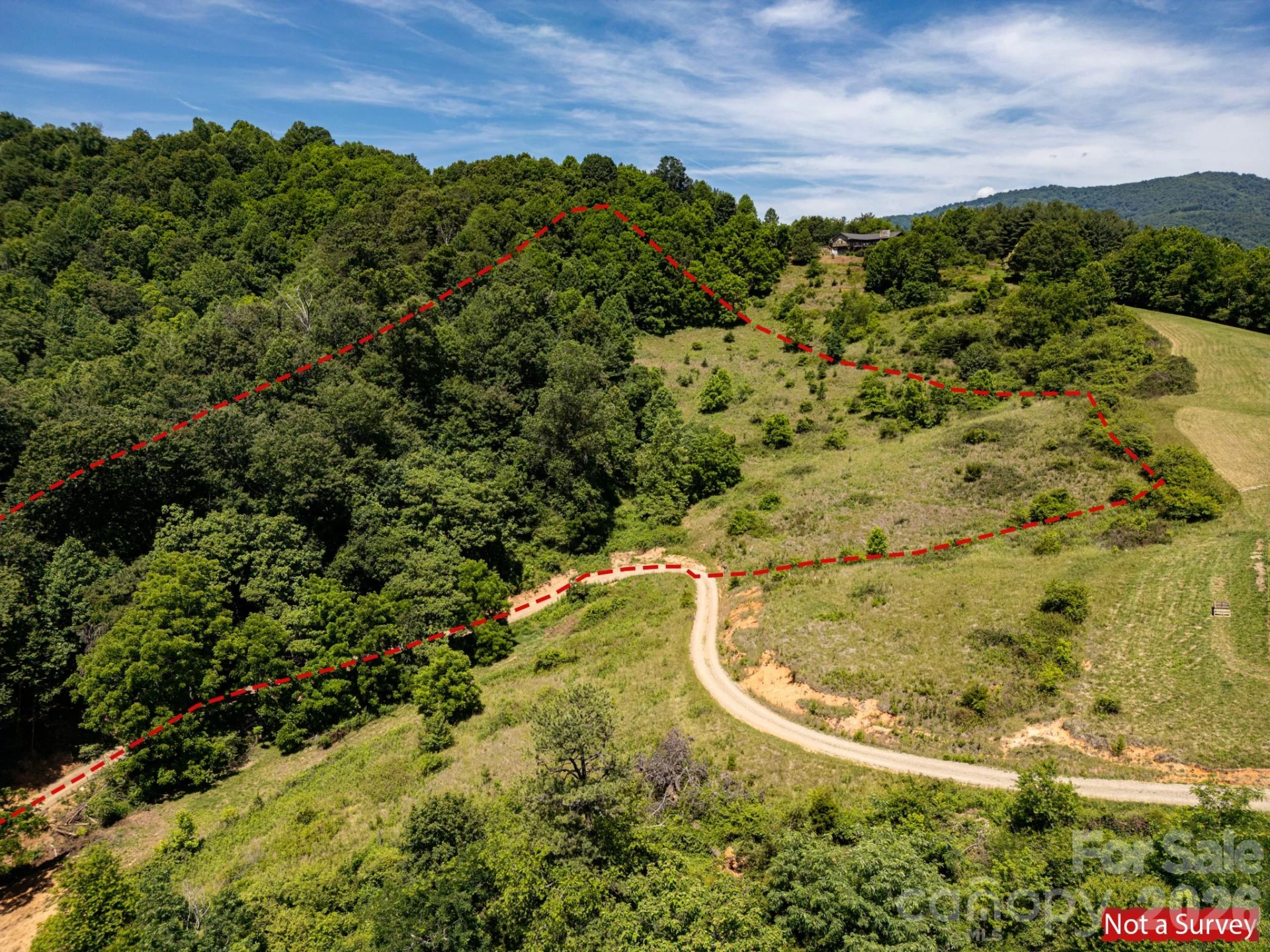 999 Murphy Cove Road - Photo 2