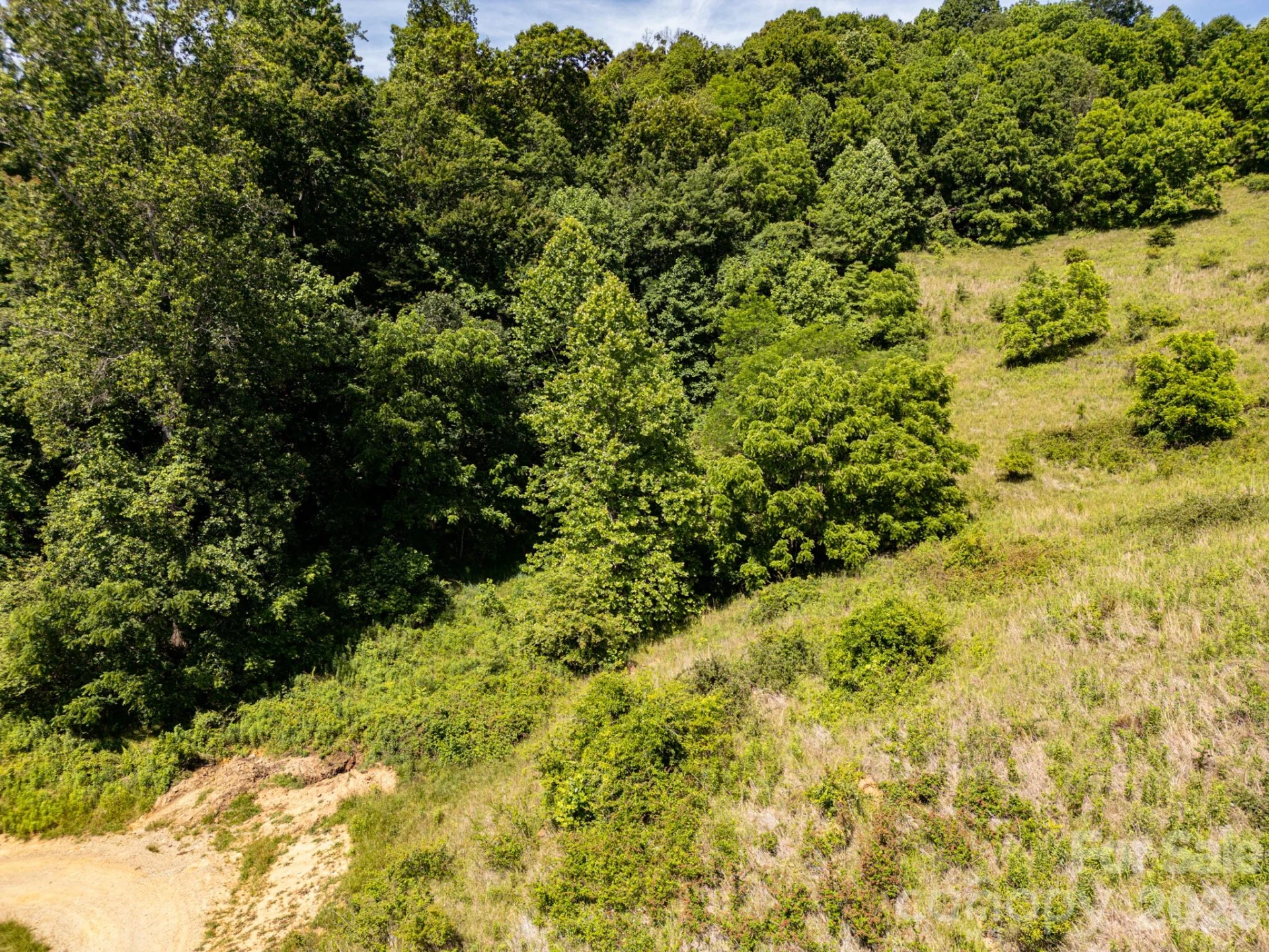 999 Murphy Cove Road - Photo 11