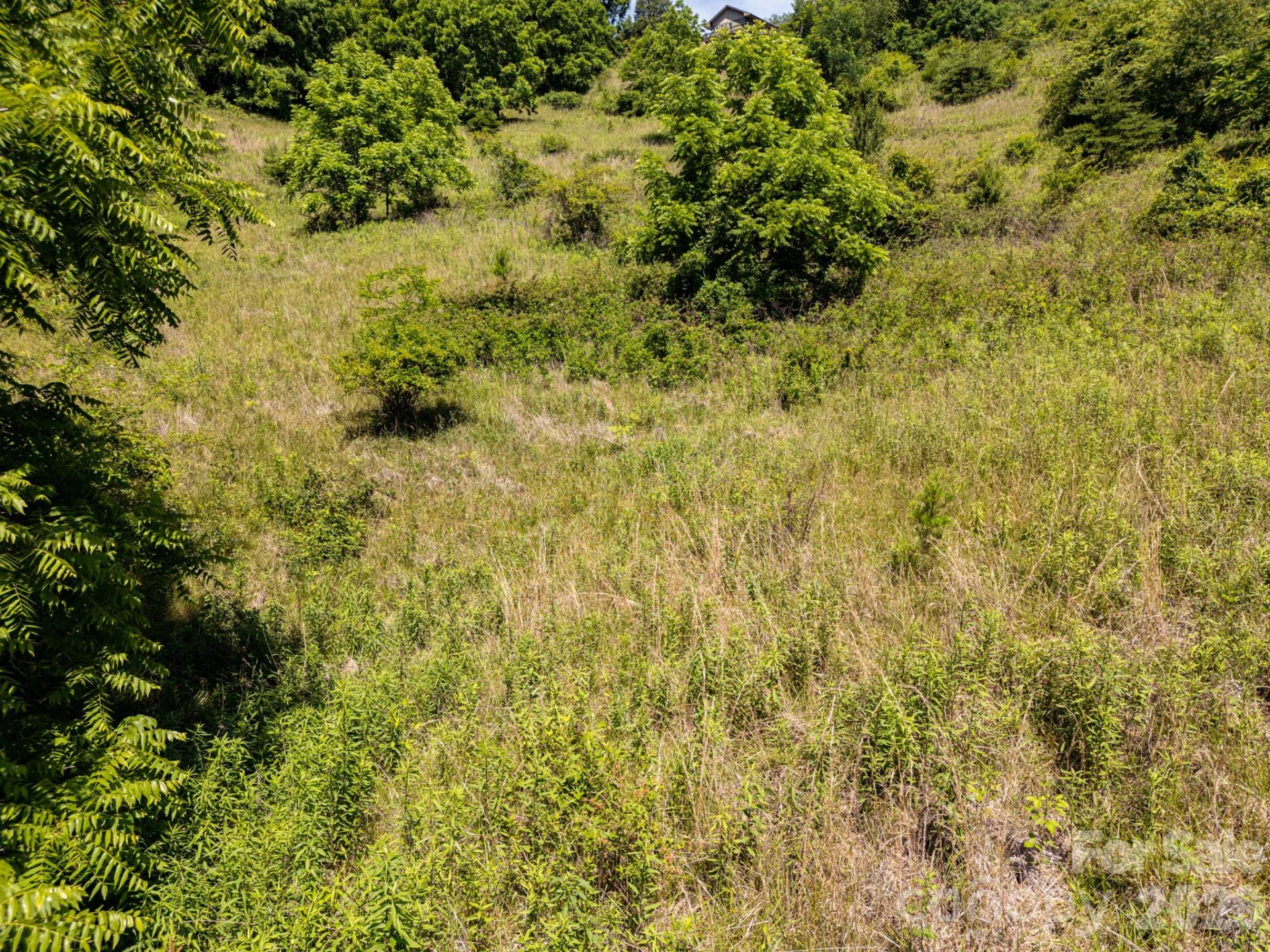 999 Murphy Cove Road - Photo 22