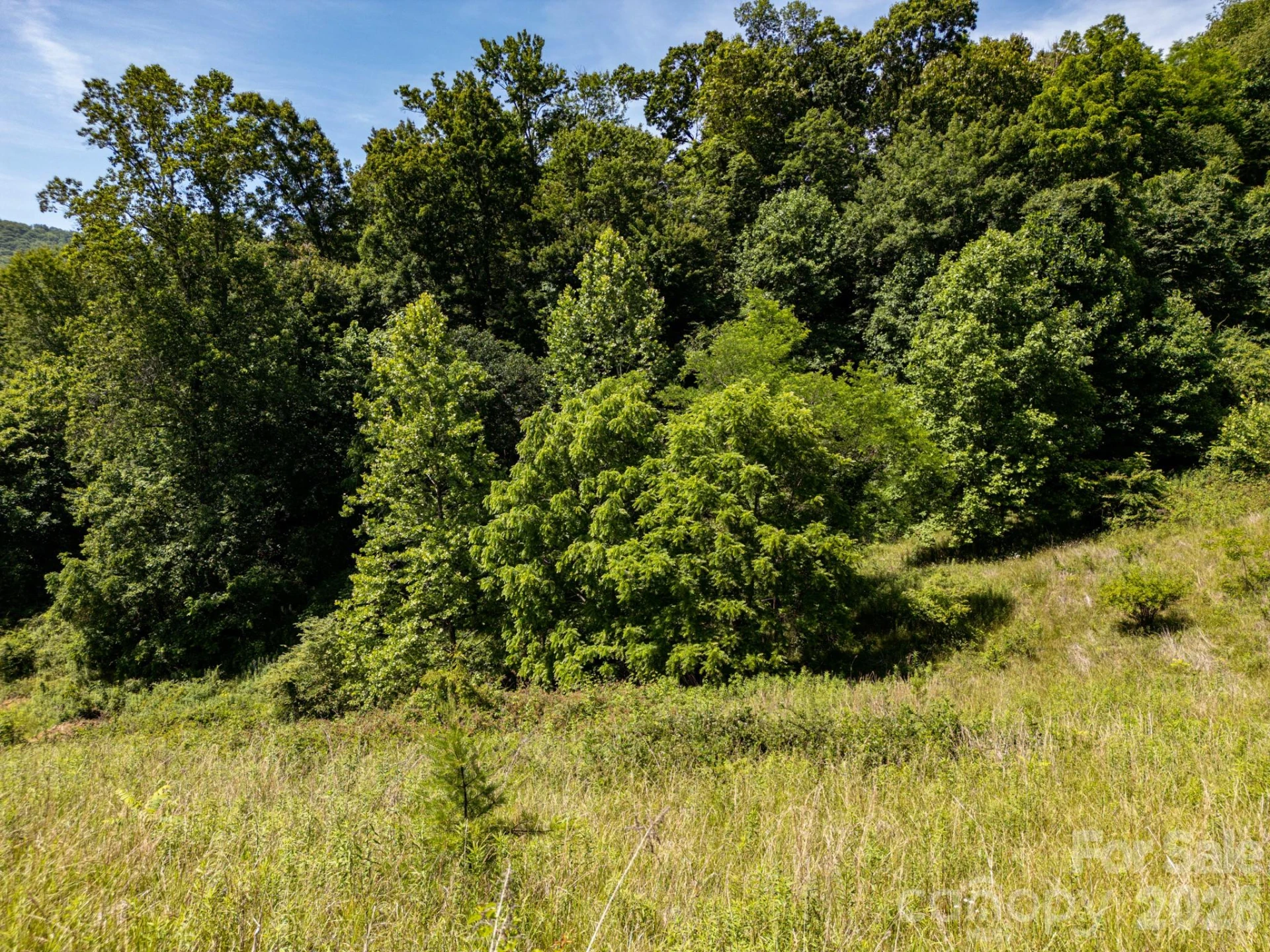 999 Murphy Cove Road - Photo 26