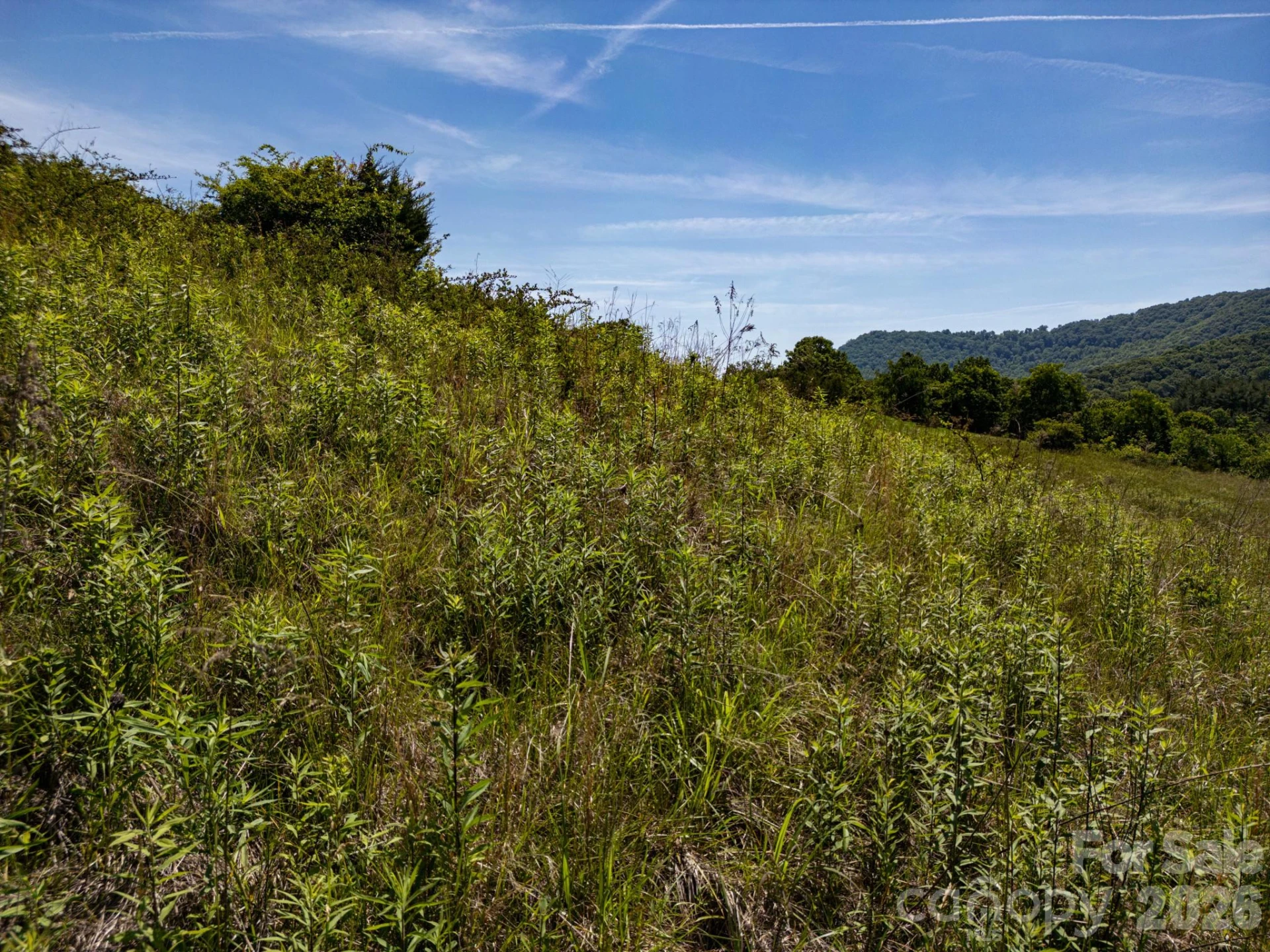 999 Murphy Cove Road - Photo 27