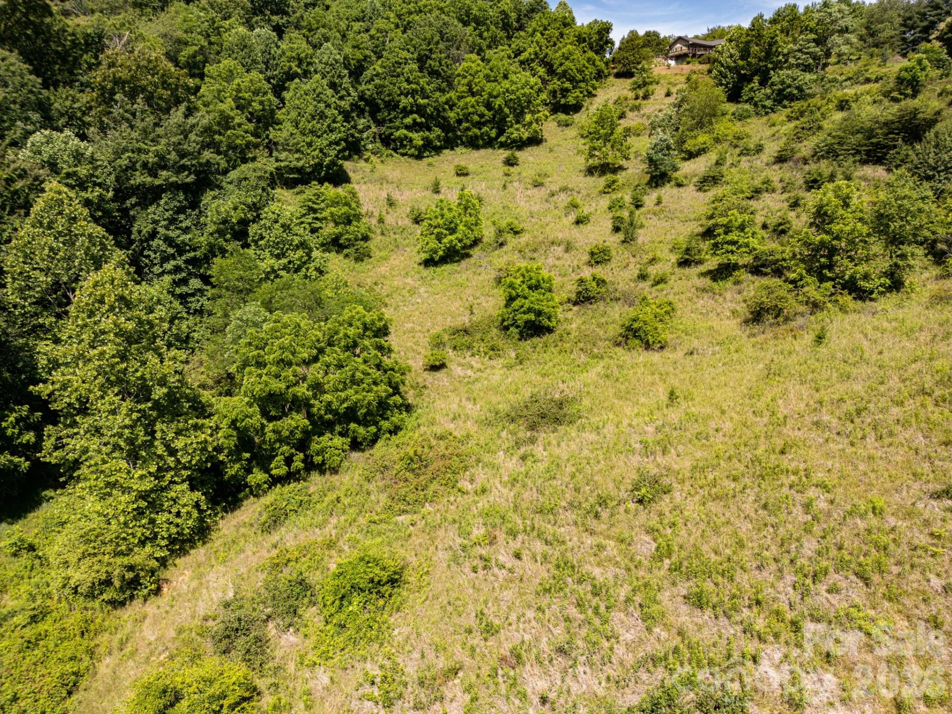 999 Murphy Cove Road - Photo 10