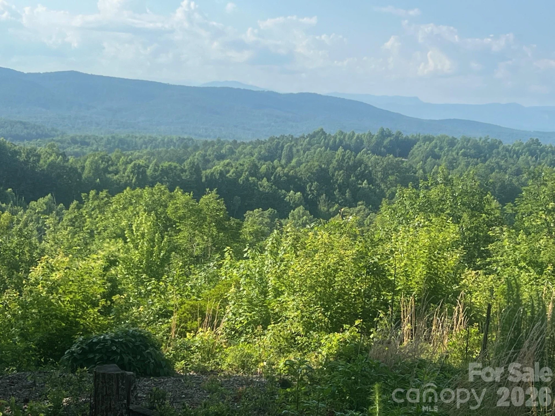 253 Falls Creek Drive - Photo 3