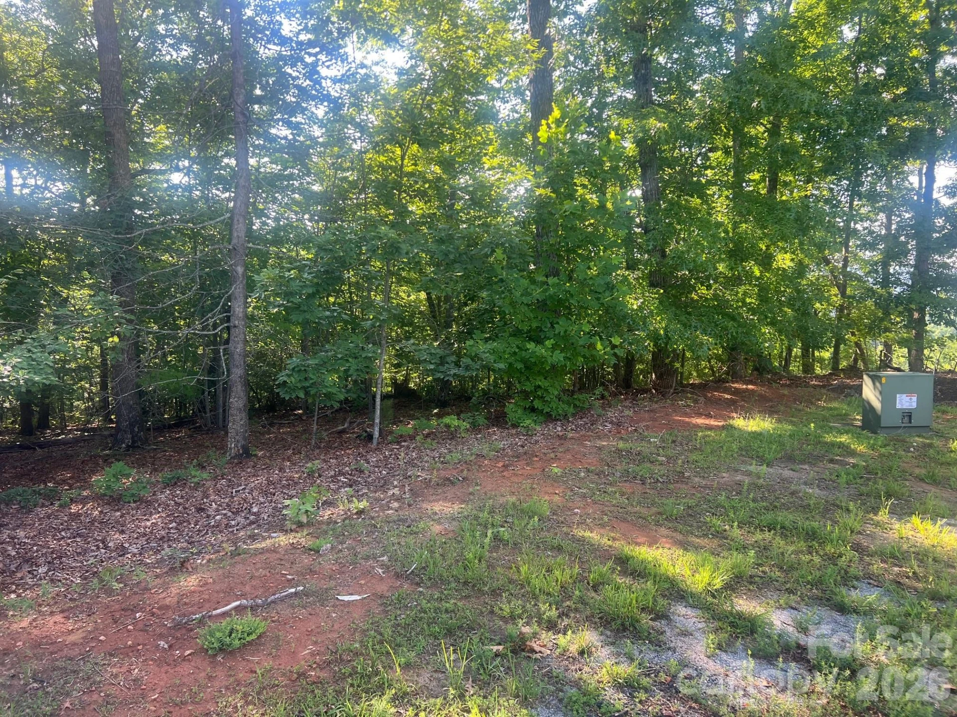 253 Falls Creek Drive - Photo 12