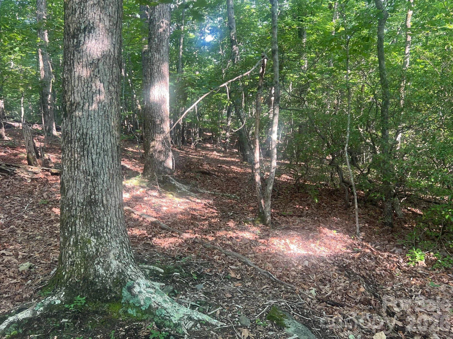 253 Falls Creek Drive - Photo 13