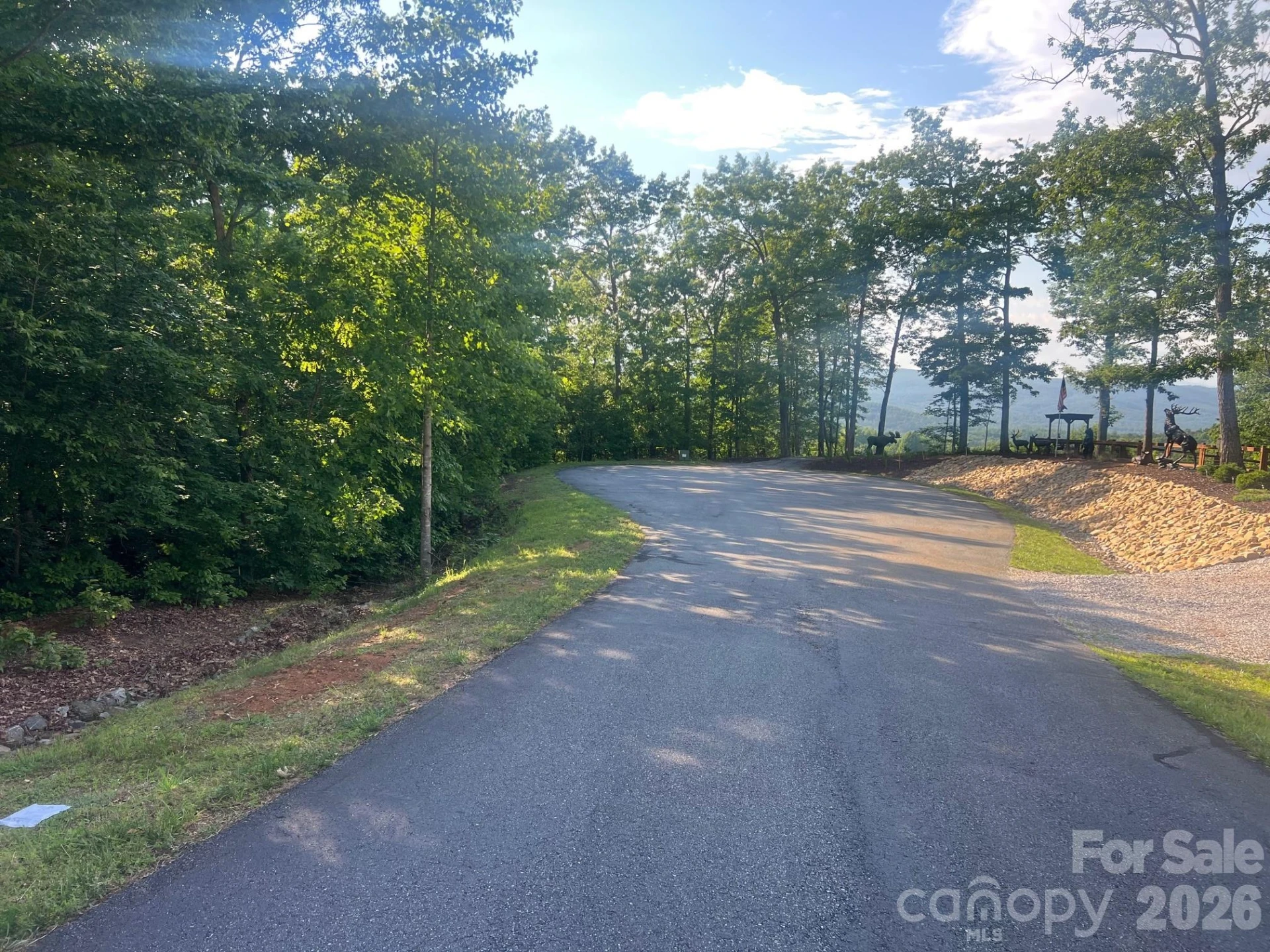 253 Falls Creek Drive - Photo 8