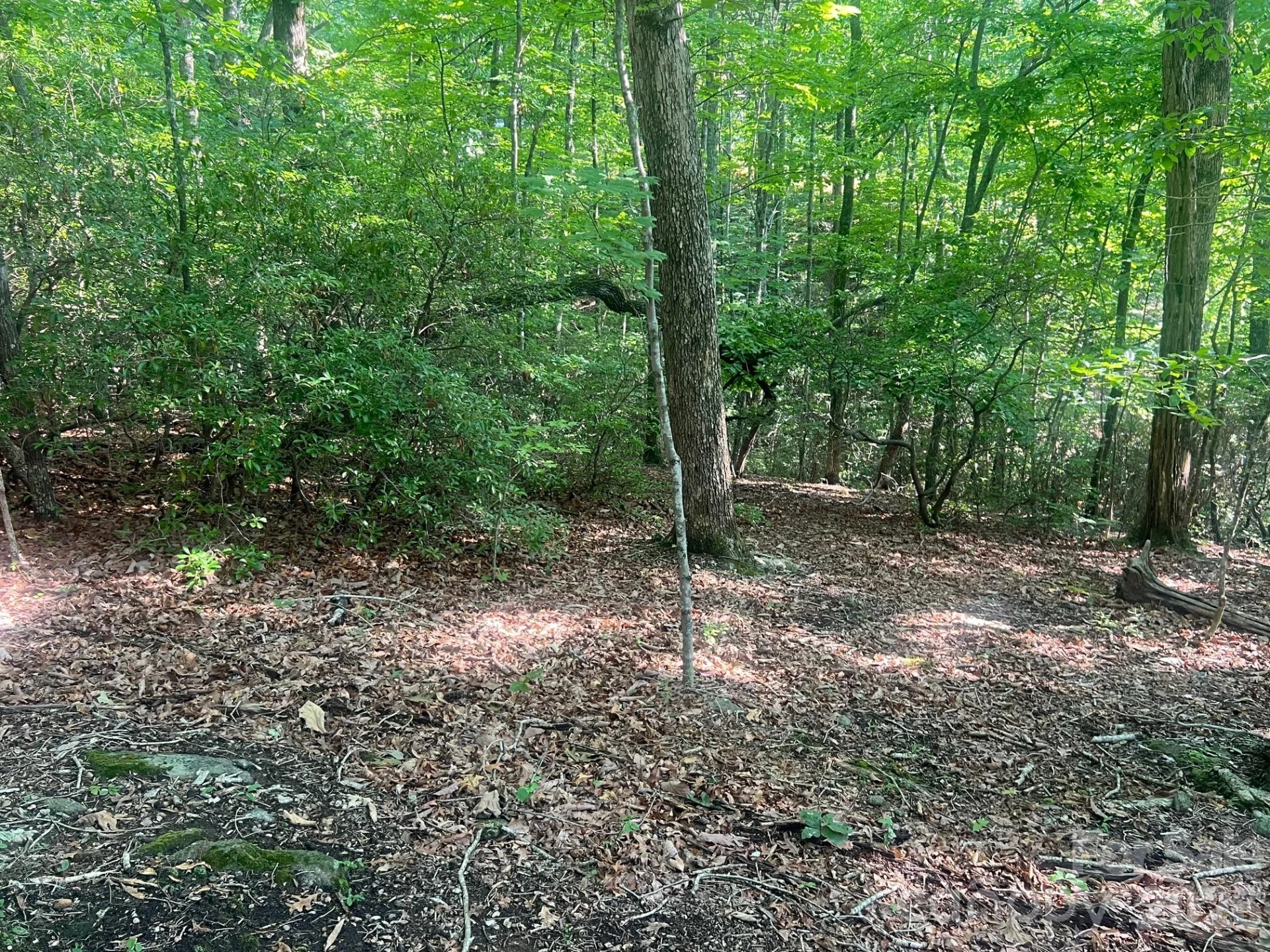 253 Falls Creek Drive - Photo 11