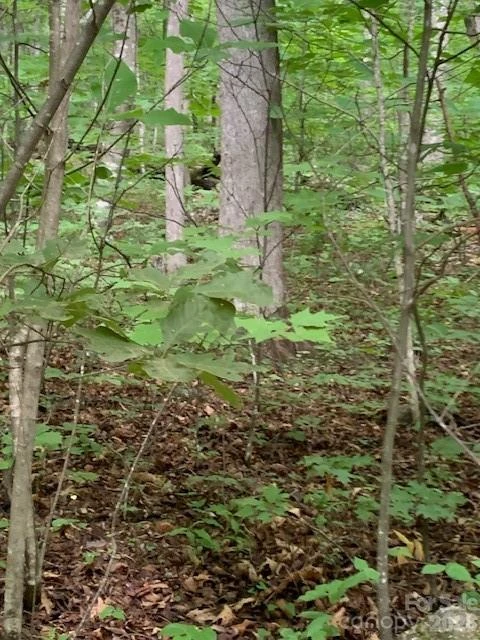 tbd Whitewater Cove - Photo 7