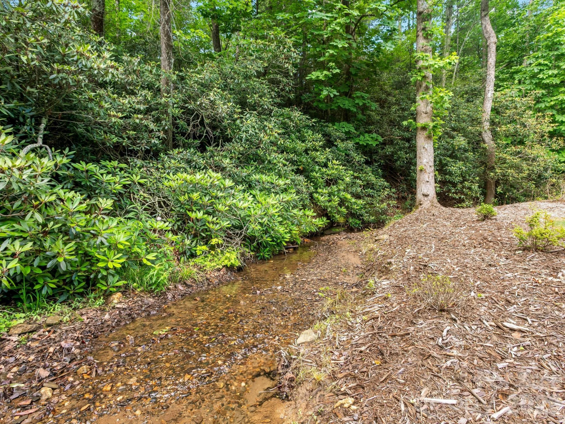 80 Highlander Falls Way - Photo 29