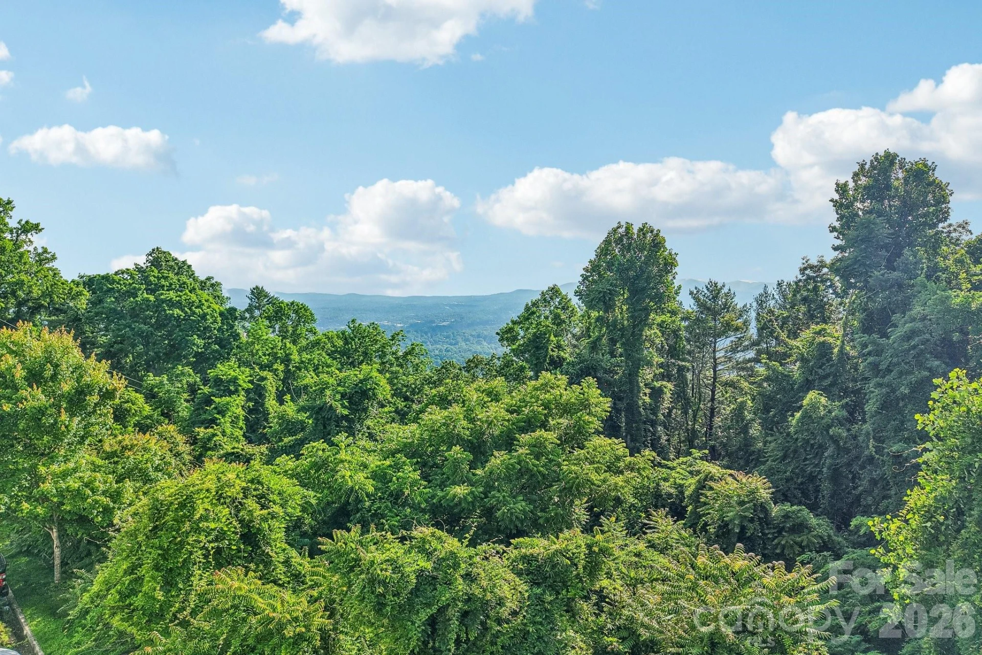 647 Town Mountain Road #212 - Photo 25