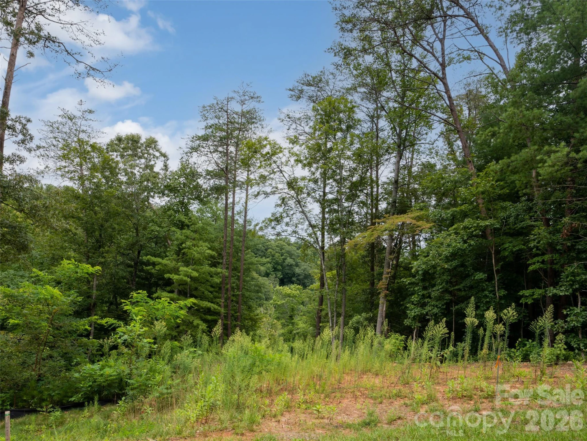128 Riverbend Forest Drive #24 - Photo 11