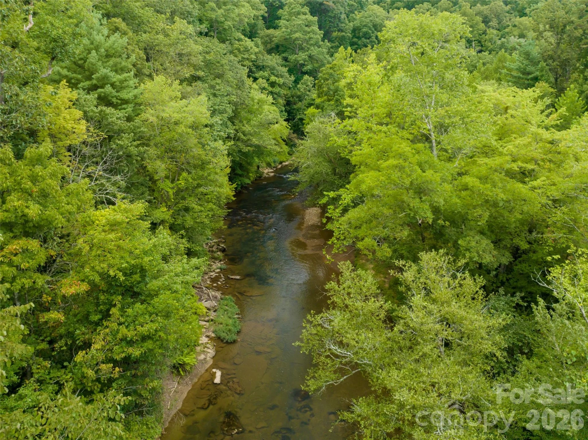 128 Riverbend Forest Drive #24 - Photo 7