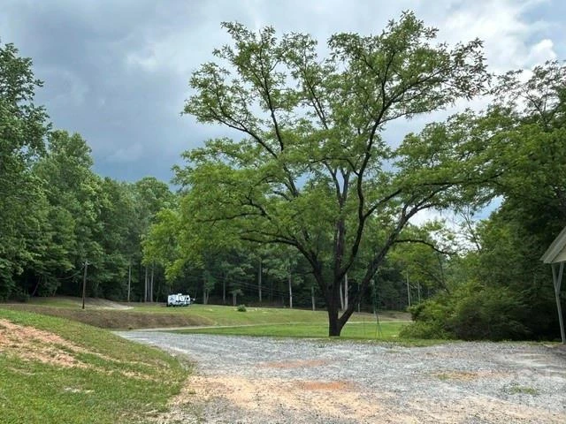 726 Israel Road - Photo 15