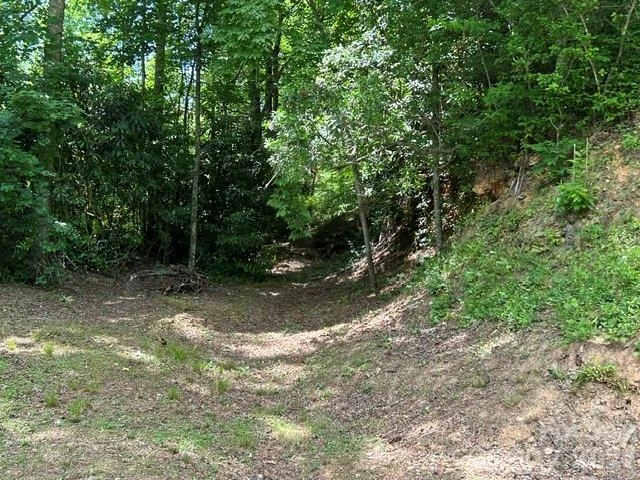 726 Israel Road - Photo 17