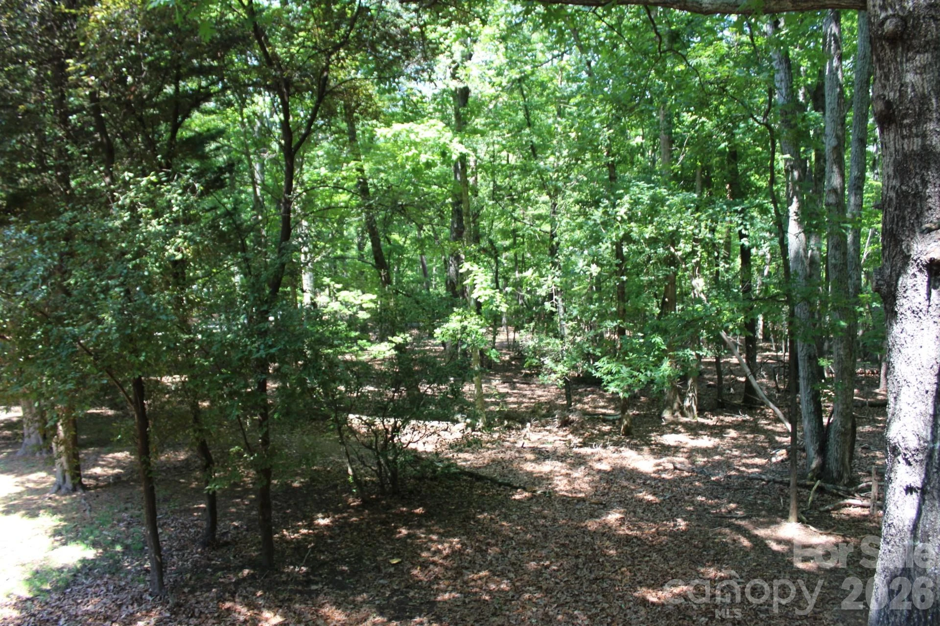 30 Oak Lane - Photo 5