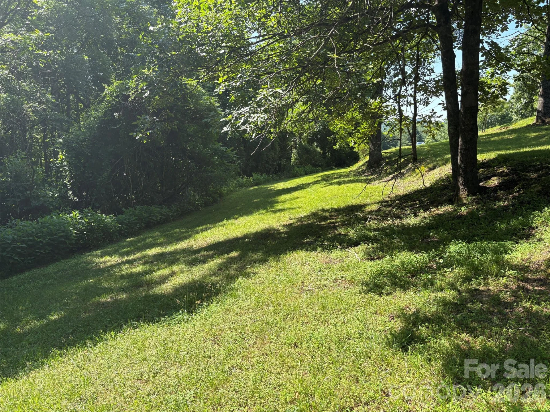239 Stone Valley Way - Photo 11