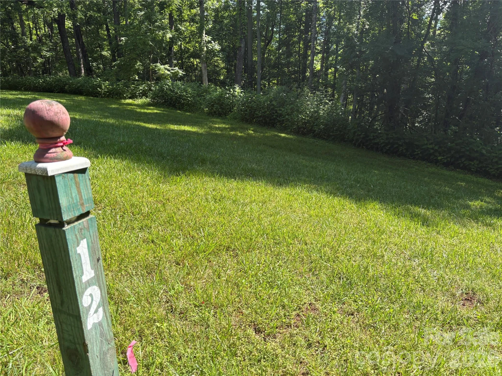 239 Stone Valley Way - Photo 12