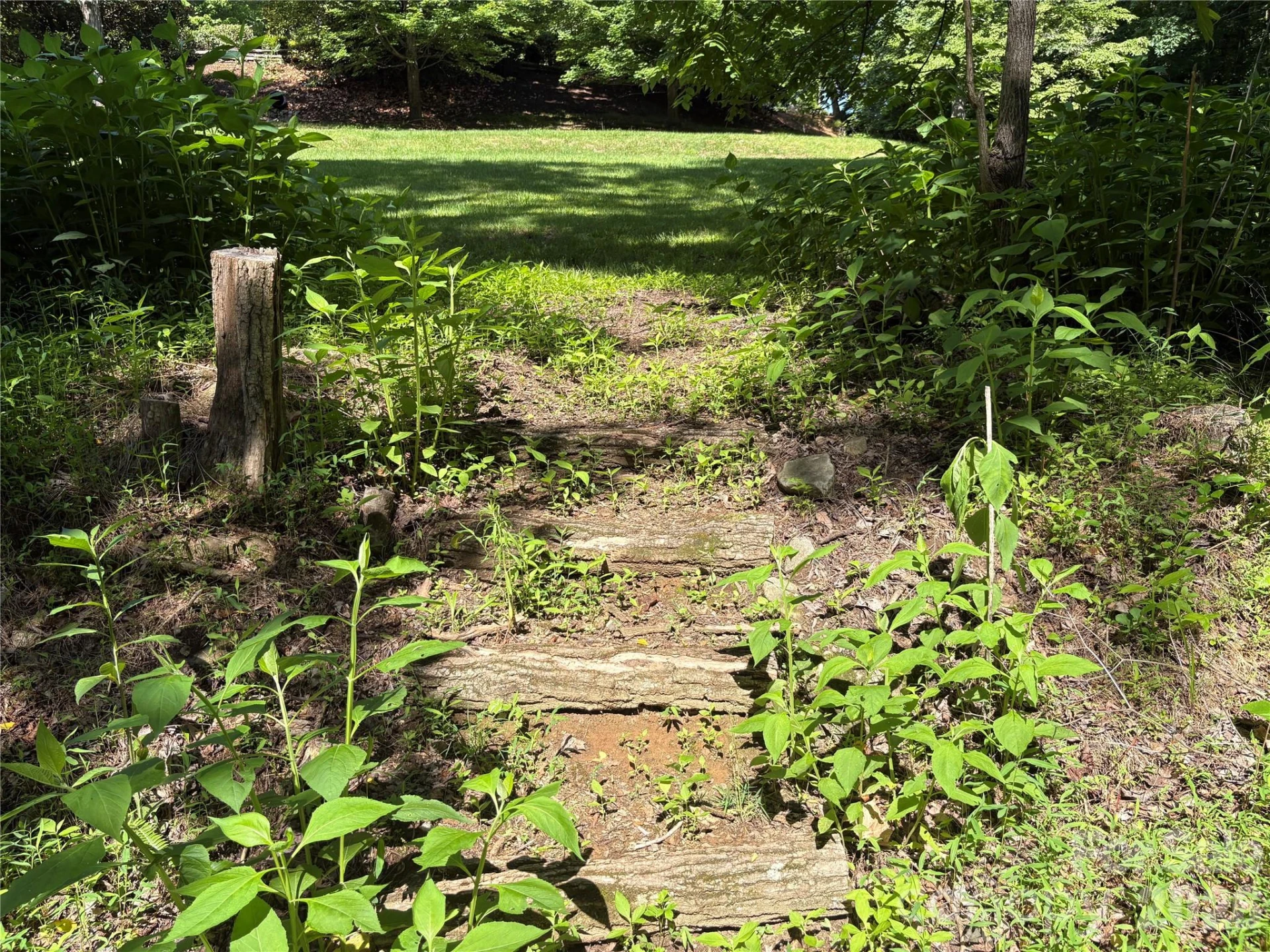 239 Stone Valley Way - Photo 13