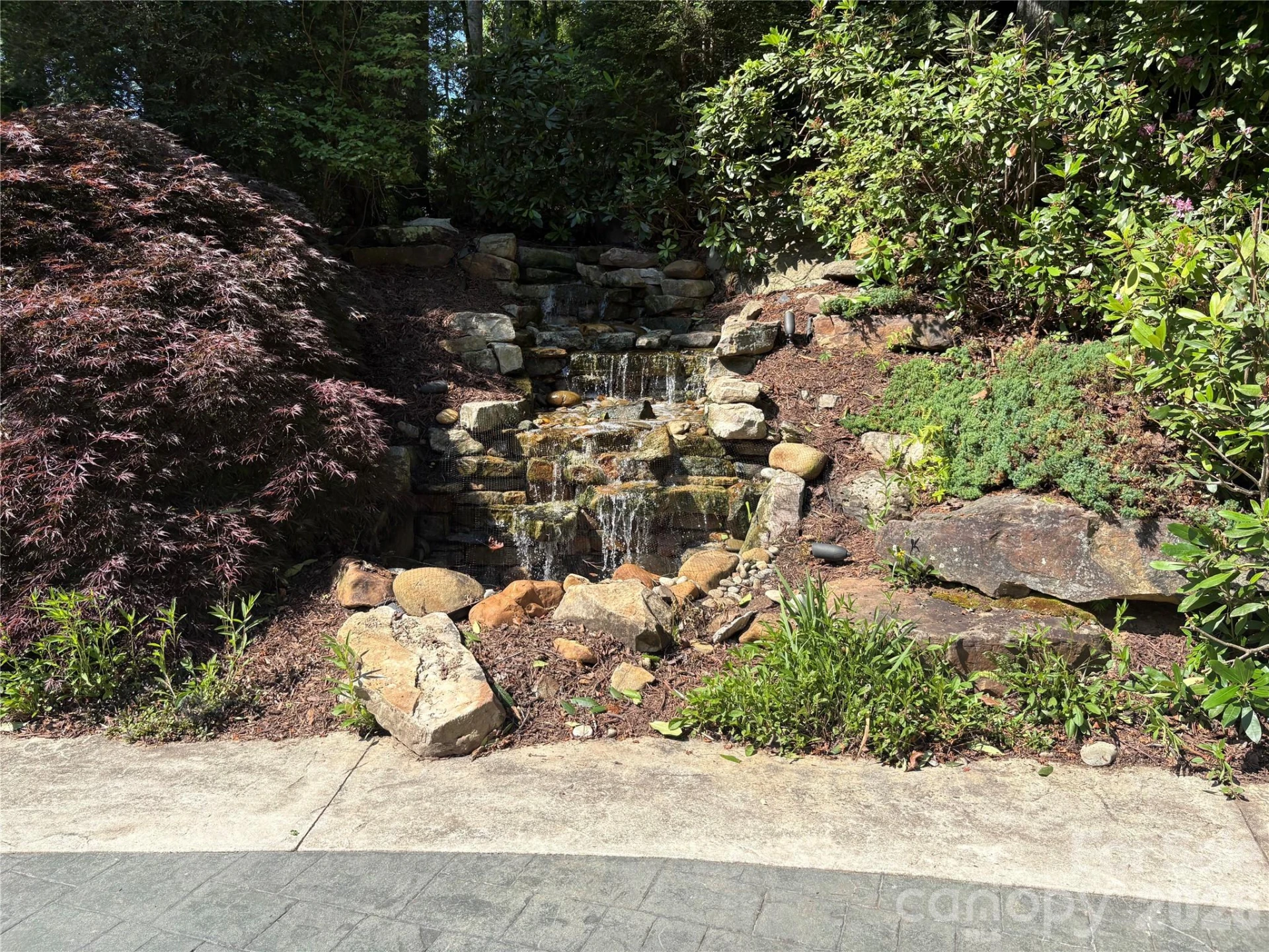 239 Stone Valley Way - Photo 5