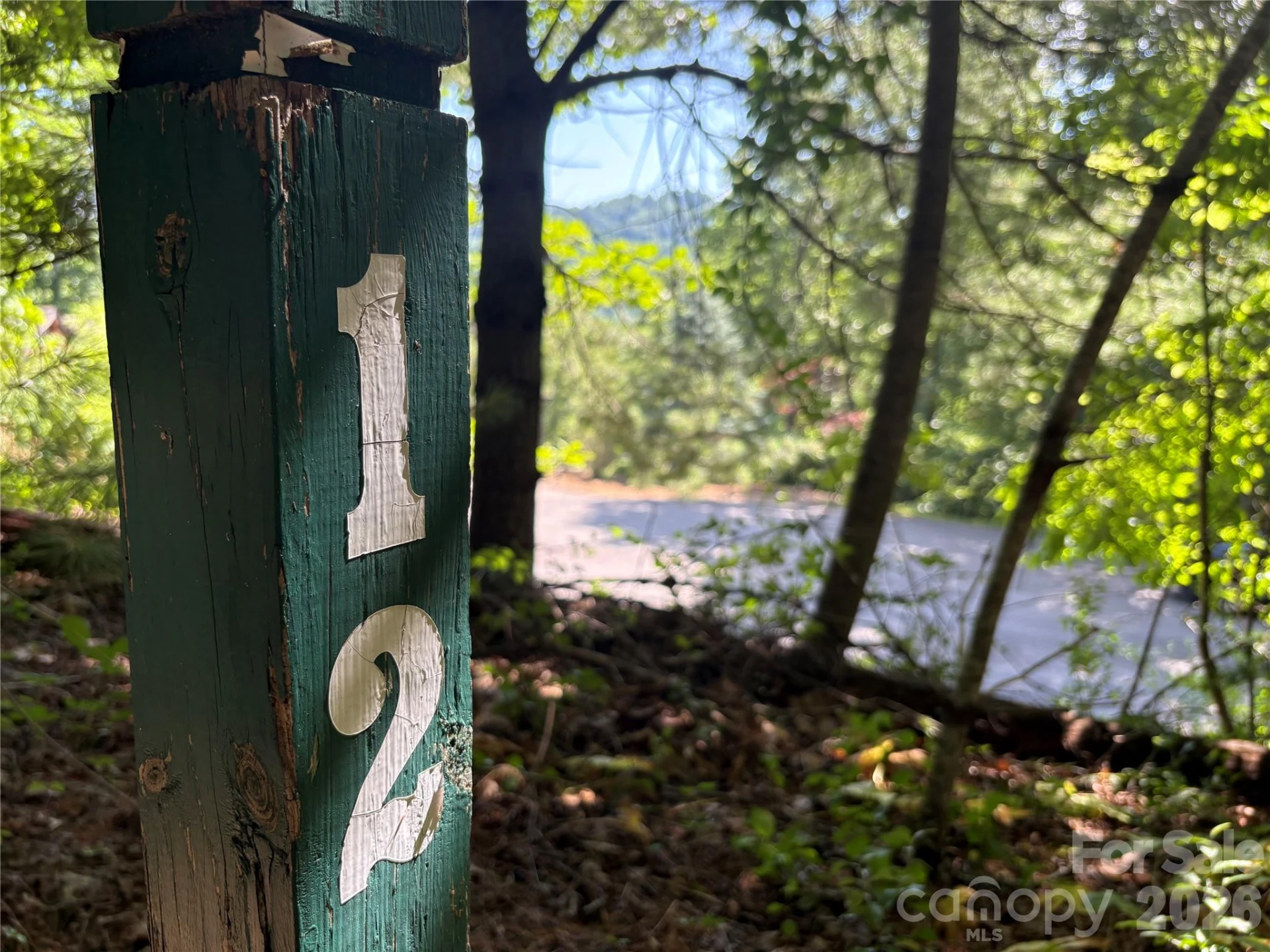 239 Stone Valley Way - Photo 8