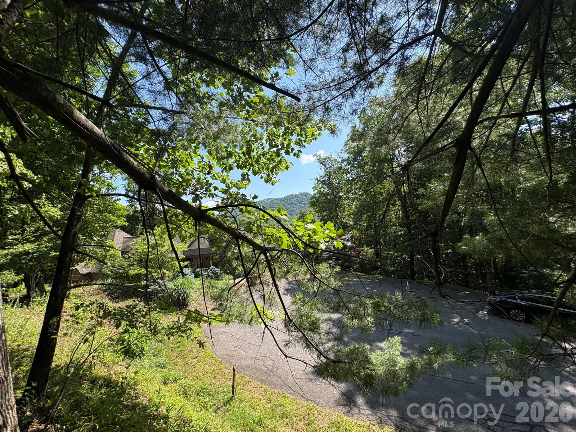 239 Stone Valley Way - Photo 9