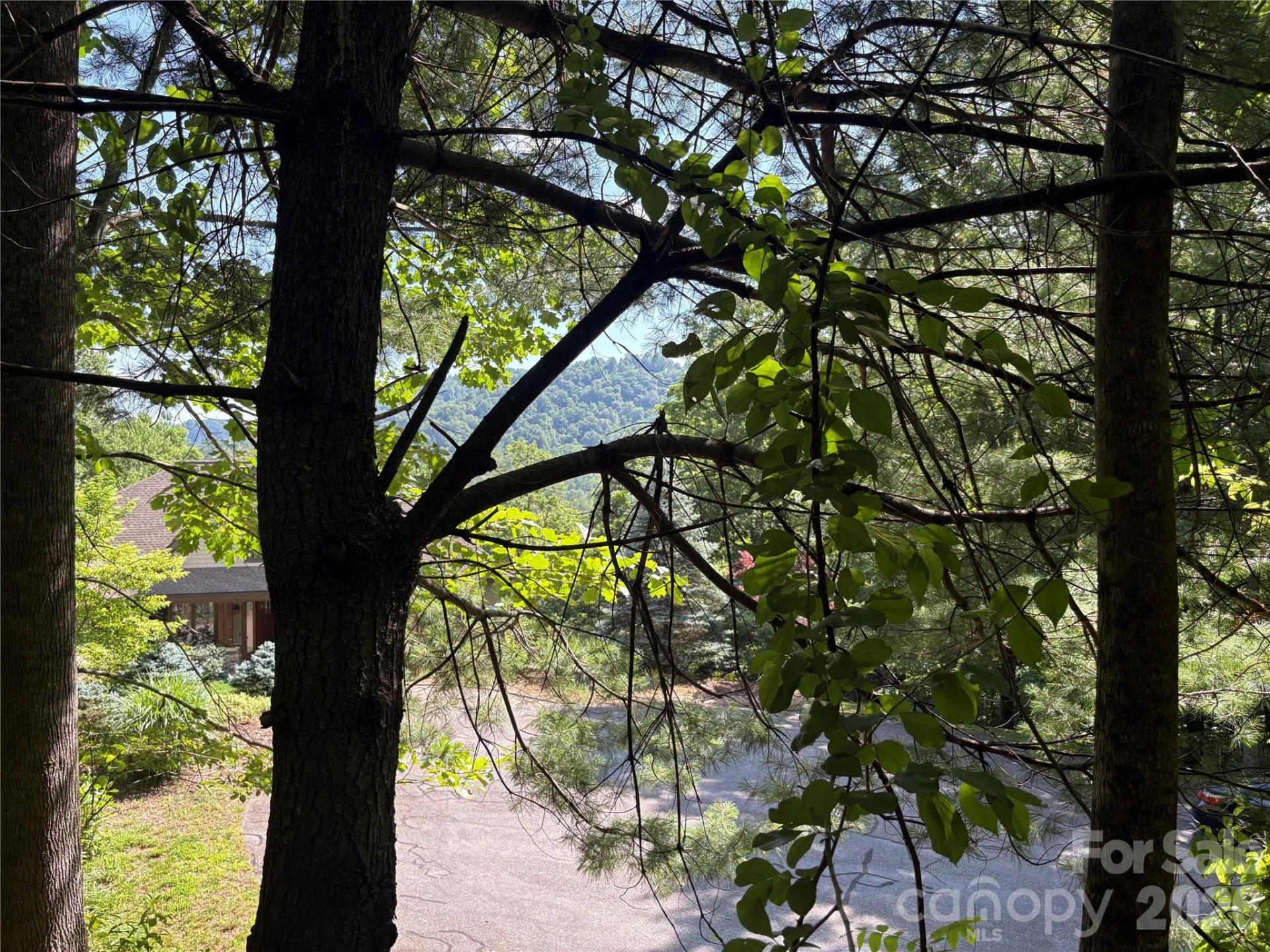 239 Stone Valley Way - Photo 10