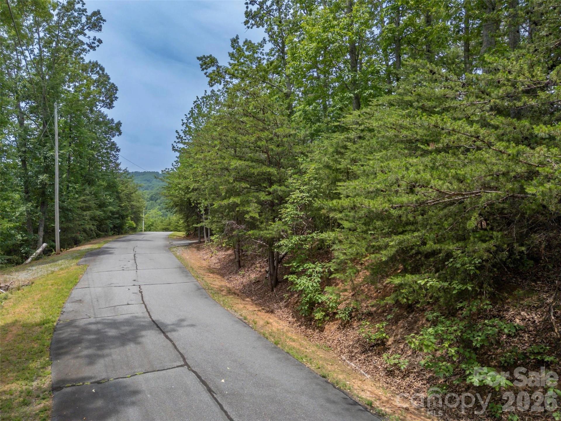 228 Brighton Drive - Photo 2