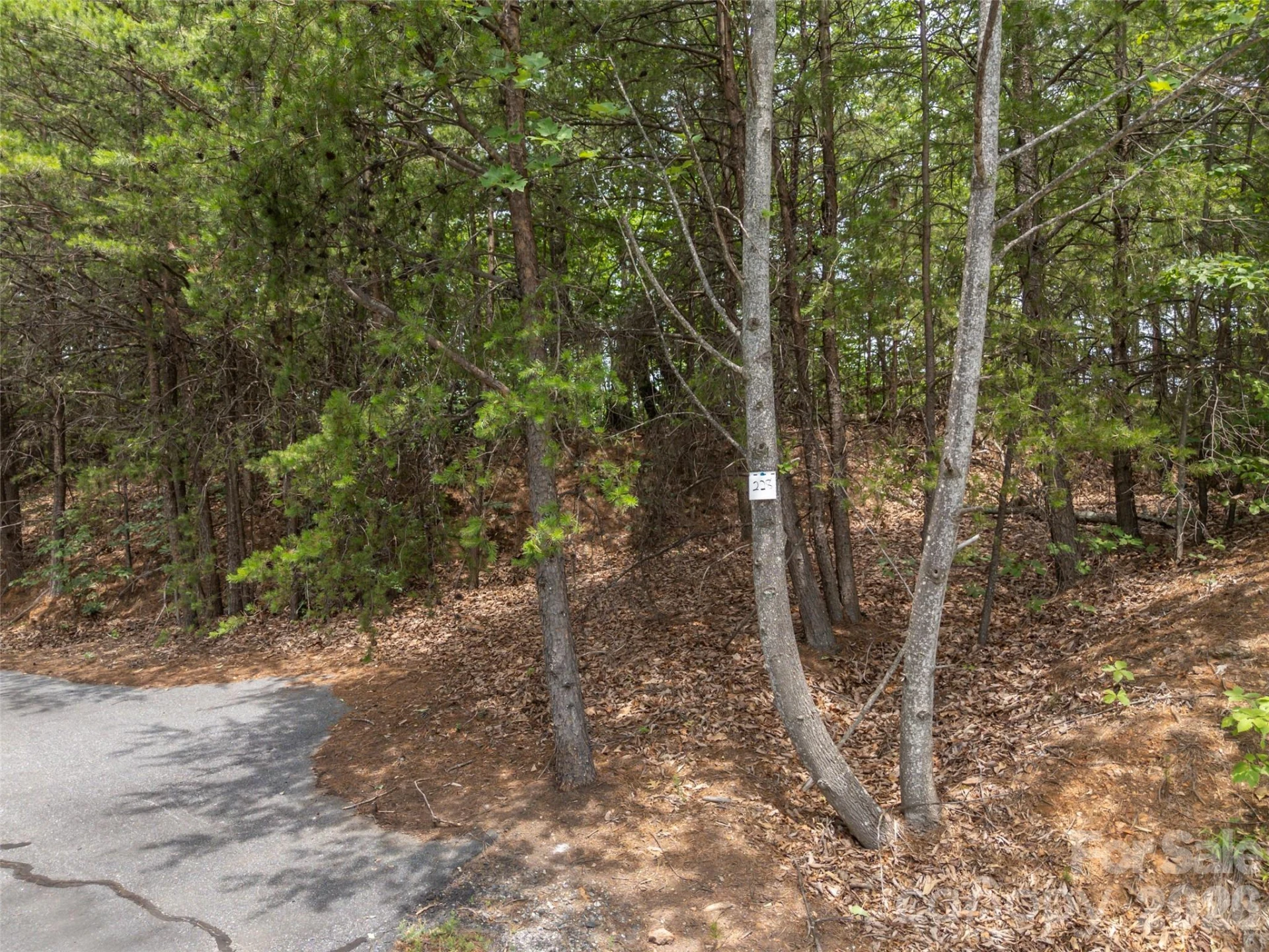 228 Brighton Drive - Photo 3