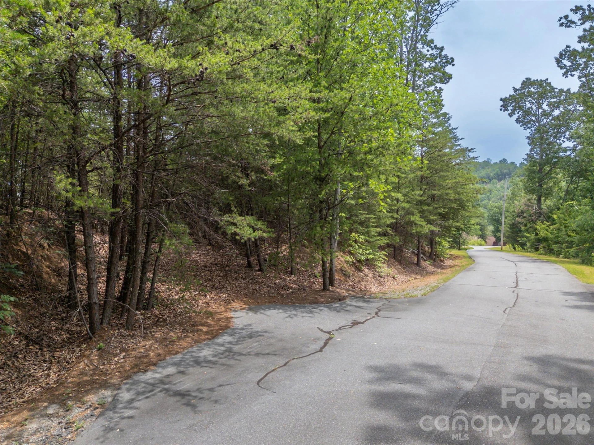 228 Brighton Drive - Photo 4