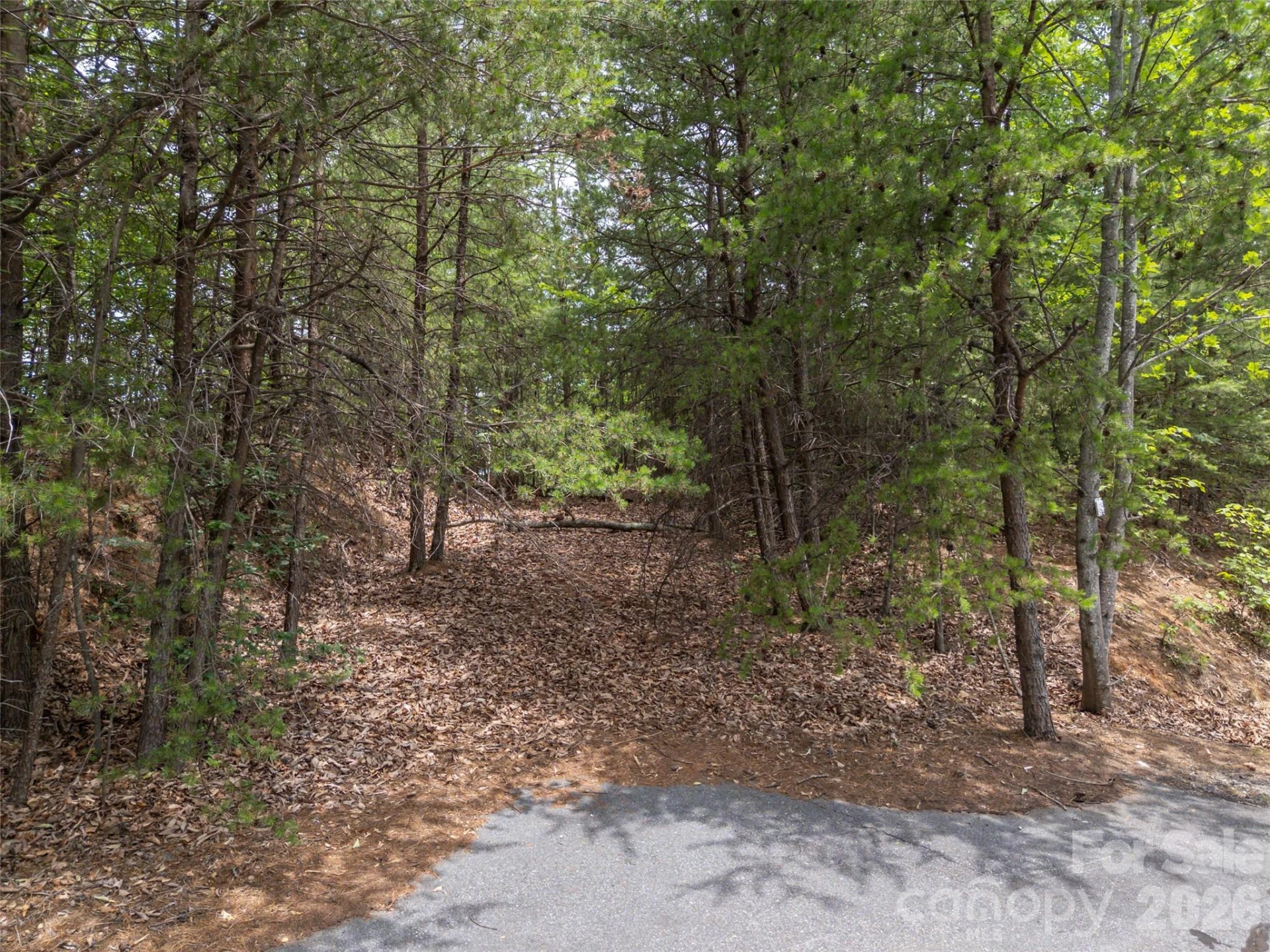 228 Brighton Drive - Photo 5