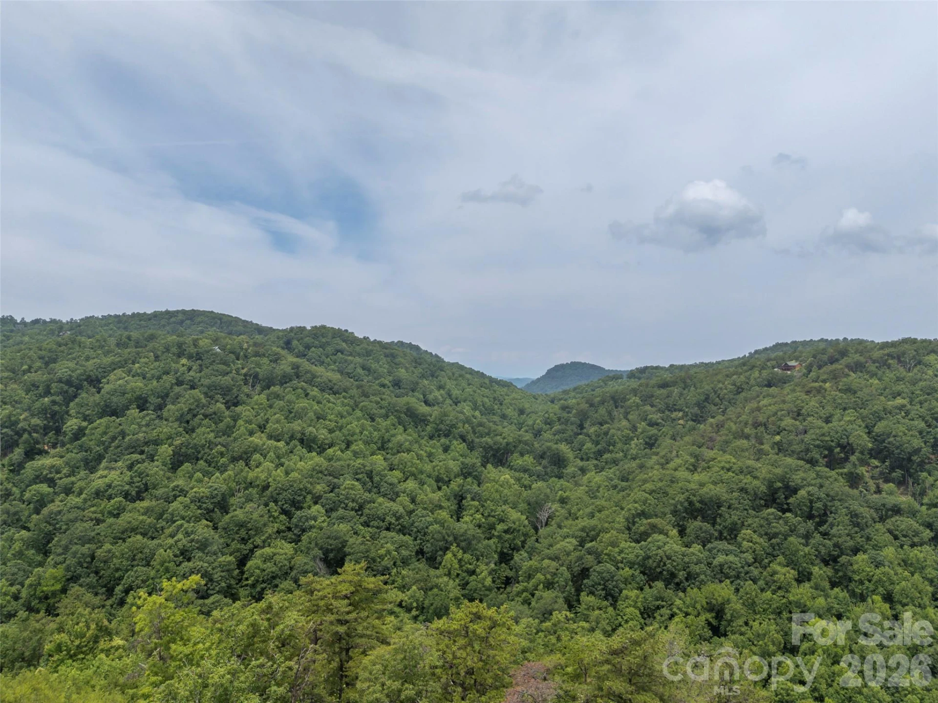 228 Brighton Drive - Photo 6
